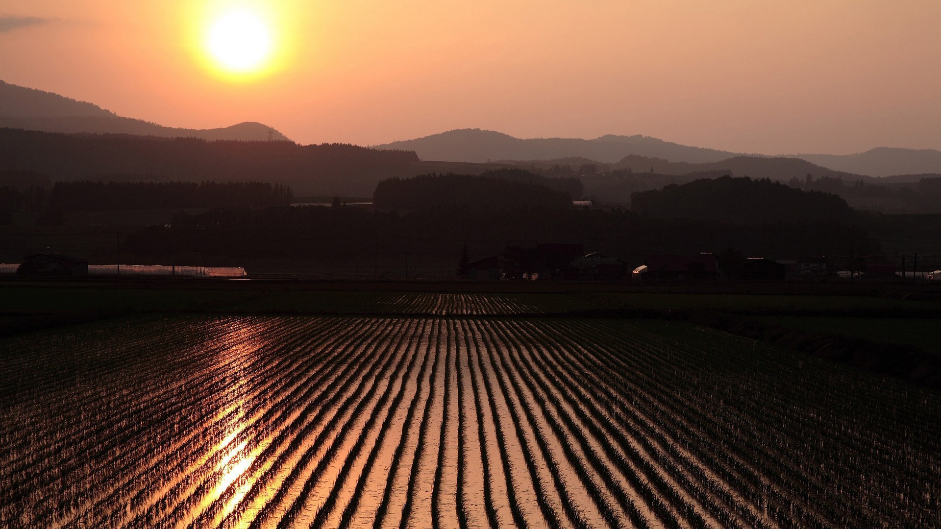 Landscape Sunset Rice Fields Hills 1920x1080