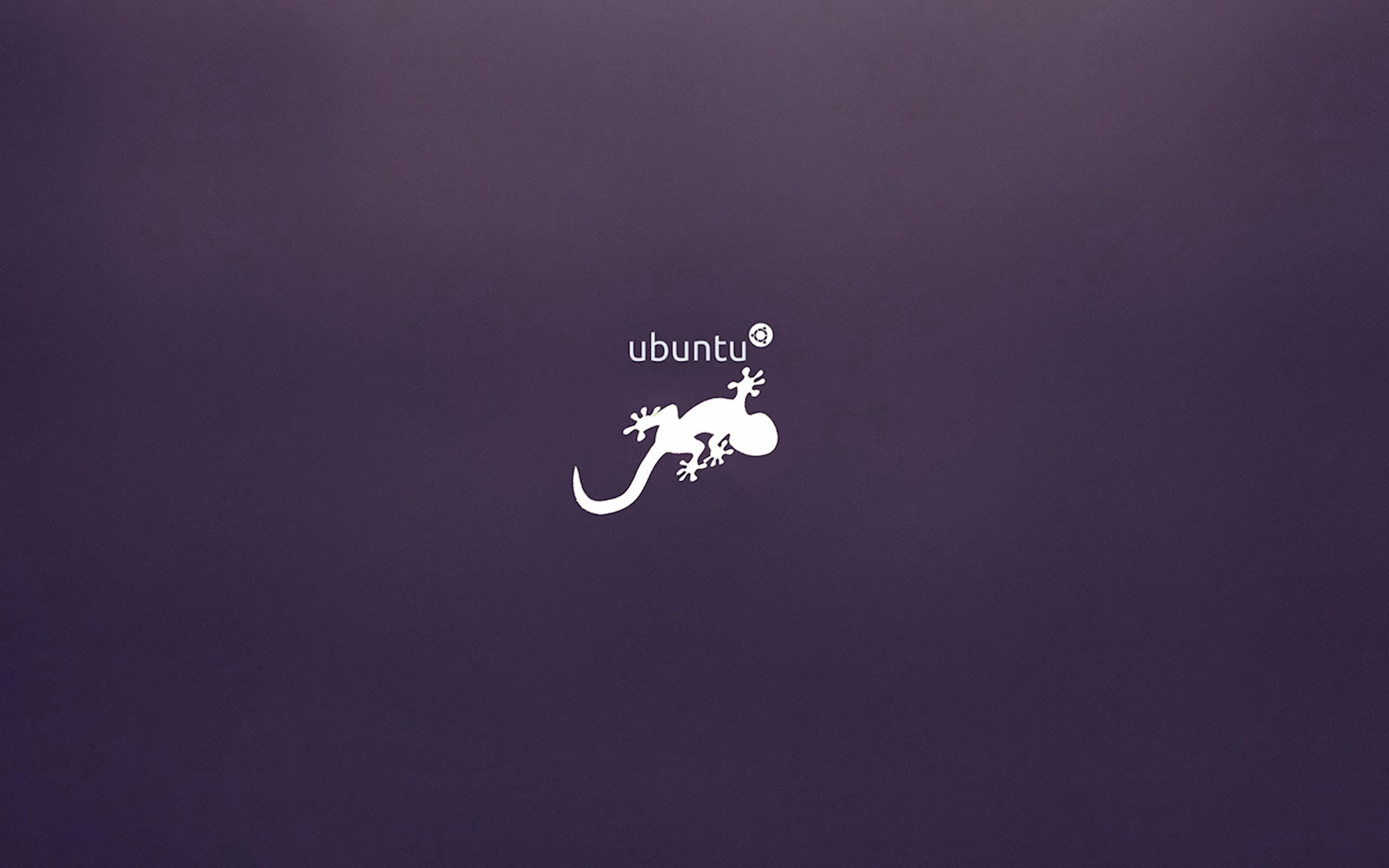 Ubuntu Logo Purple Background 2560x1600