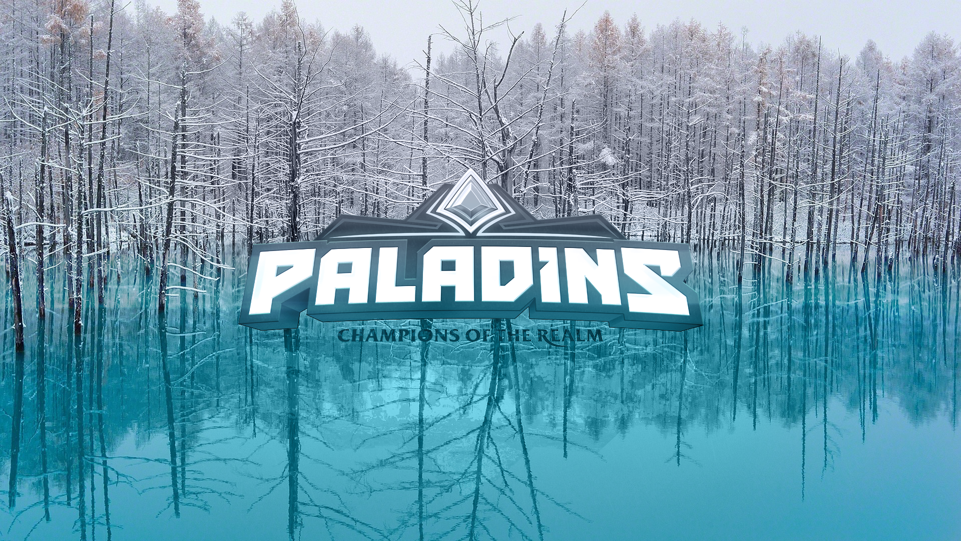 Paladin Spes Salutis Trees Winter Ice 1920x1080