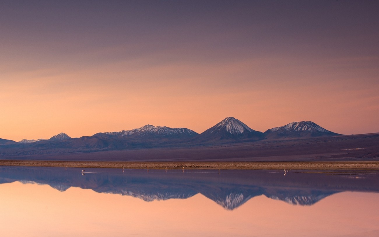 Nature Landscape Atacama Desert Mountains Lake Sunset Snowy Peak Water Chile Reflection 1300x812