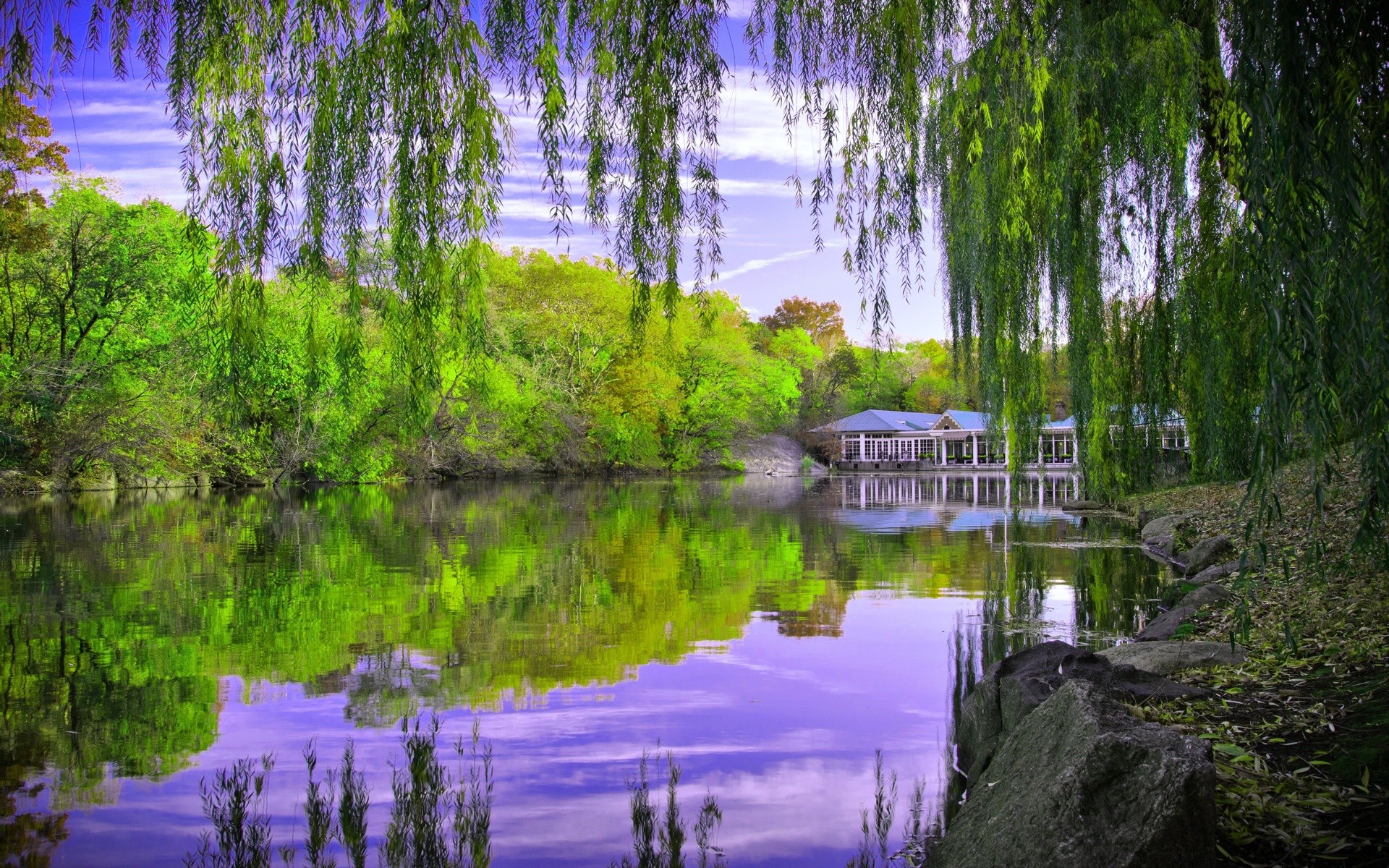 Nature Landscape Lake House Trees Willows 1920x1200