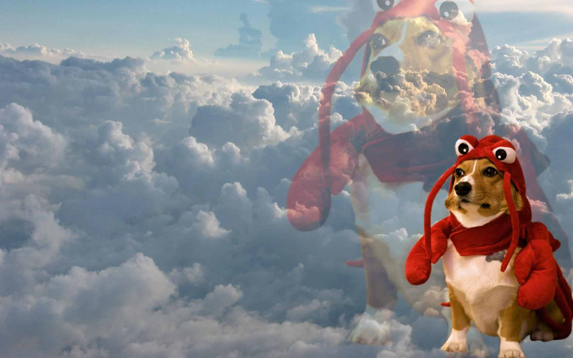 Dodge Sky Clouds Inspirational Lobsters Dog 1920x1200