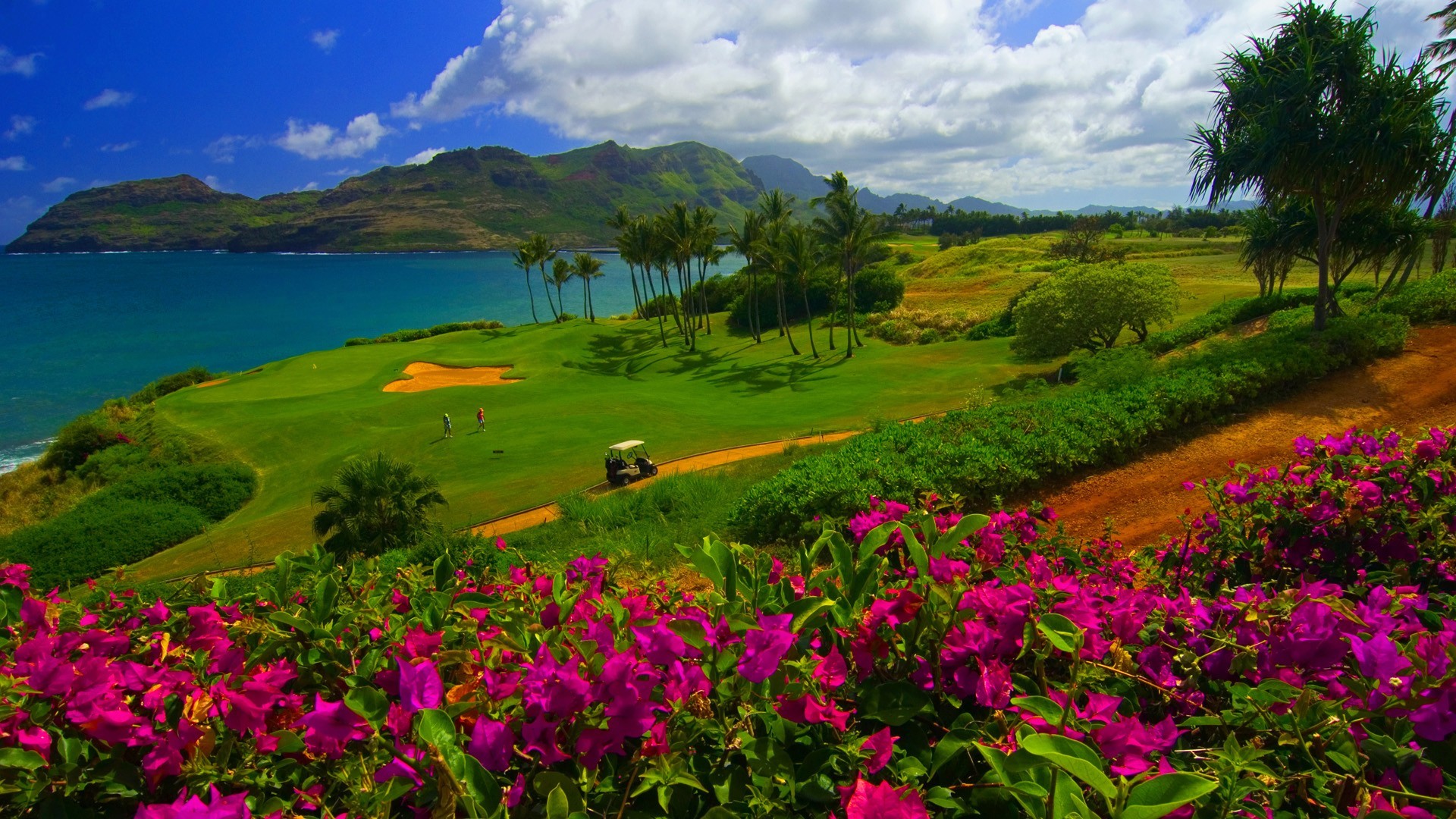Nature Landscape Water Trees Sea Hawaii Golf Course Flowers Grass Sand Palm Trees Mountains Hills Cl 1920x1080