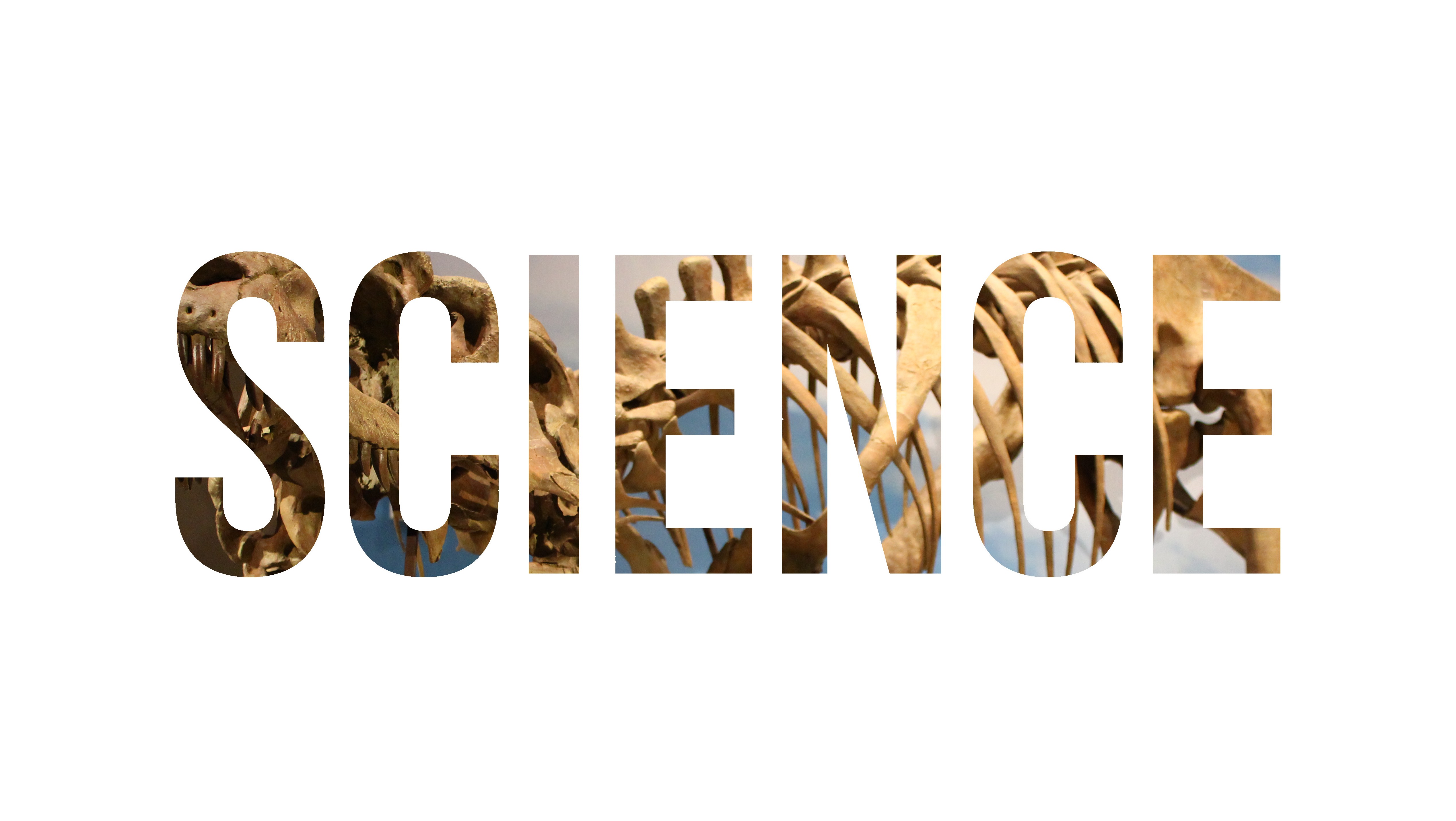 Science Nature T Rex Museum Typography 5075x2863
