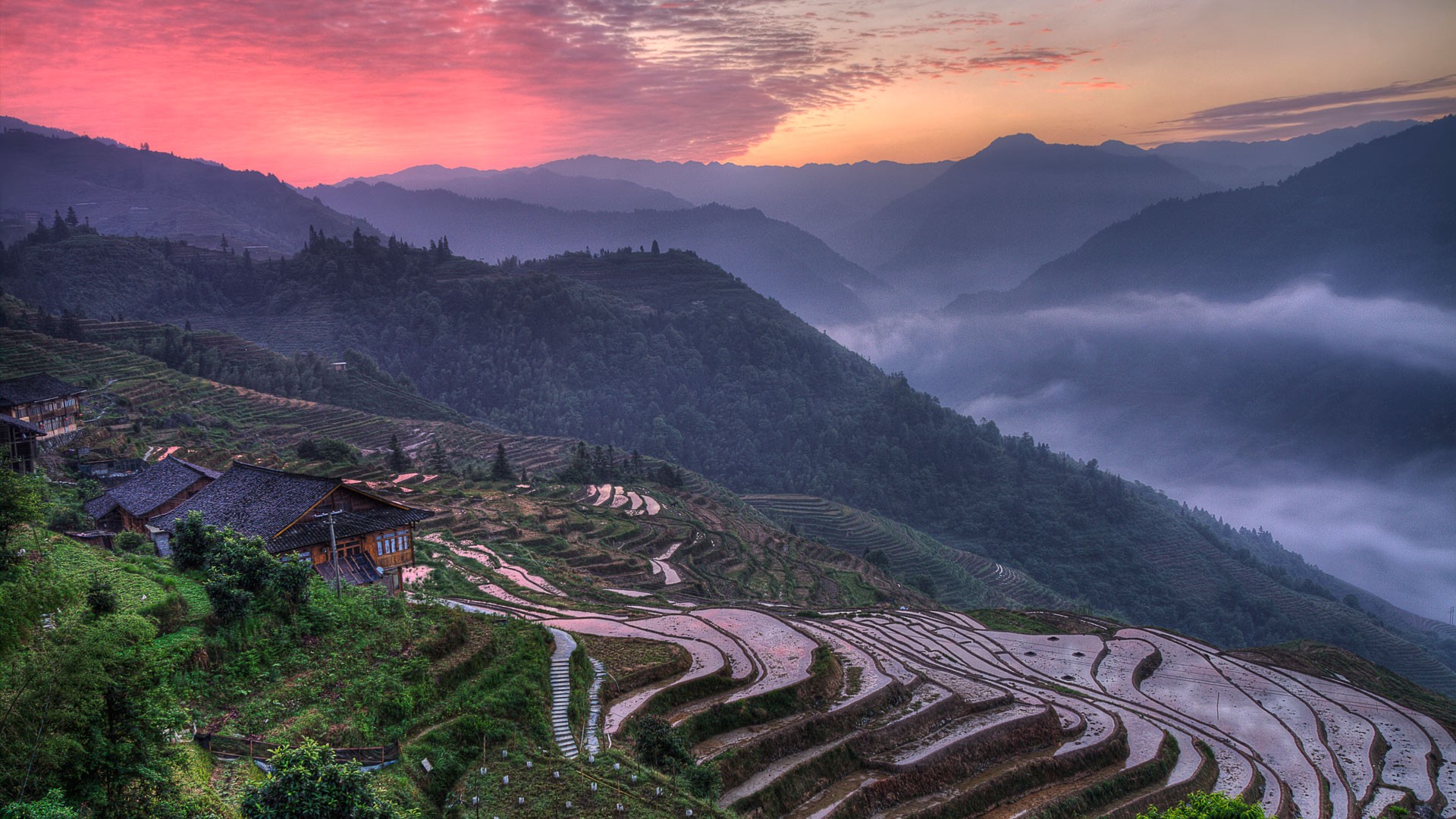 Landscape Terraced Field Rice Paddy Nature 1920x1080