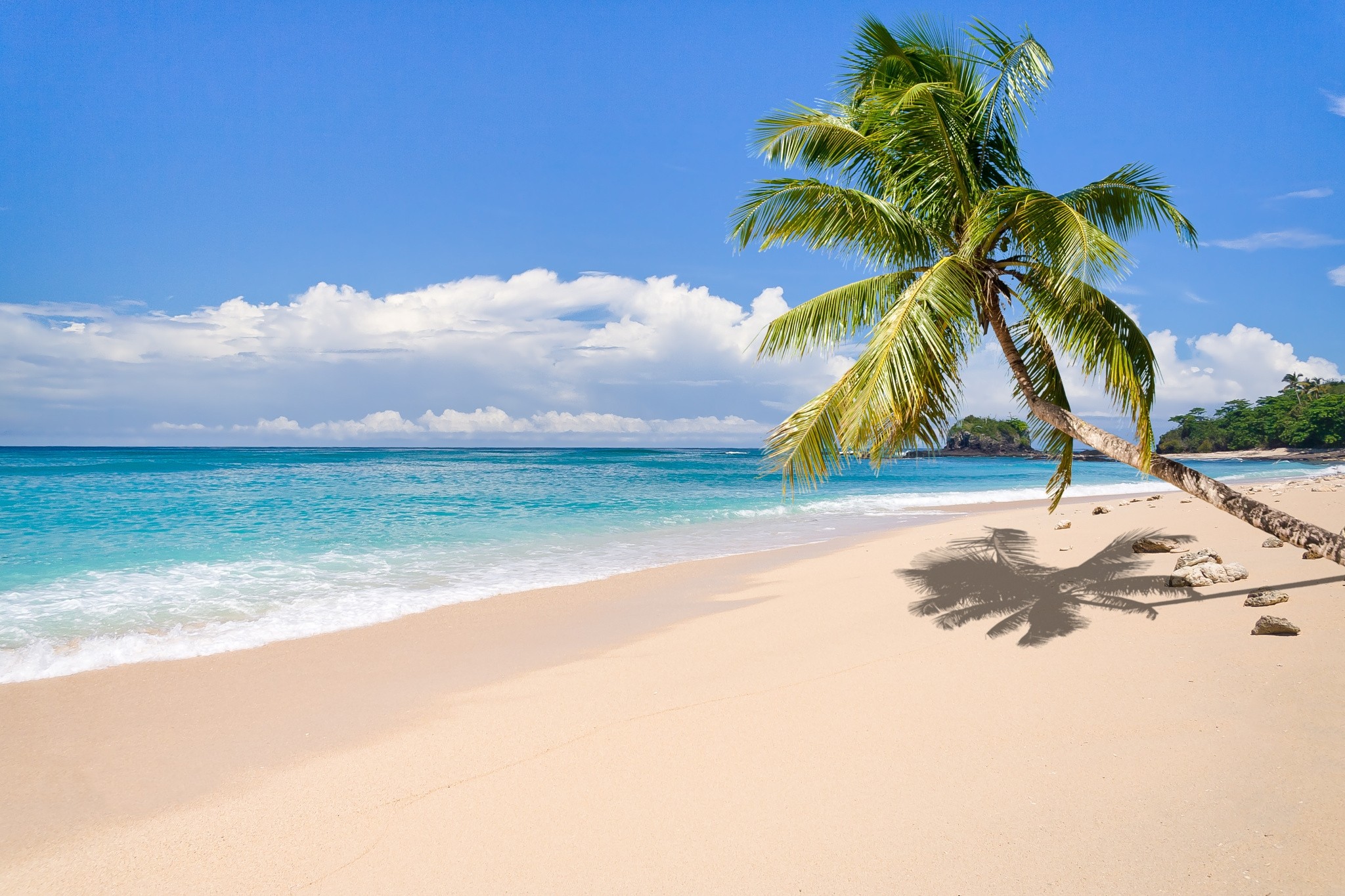 Nature Landscape Tropical Island Beach Palm Trees Sea Sand Clouds Summer Madagascar 2048x1365