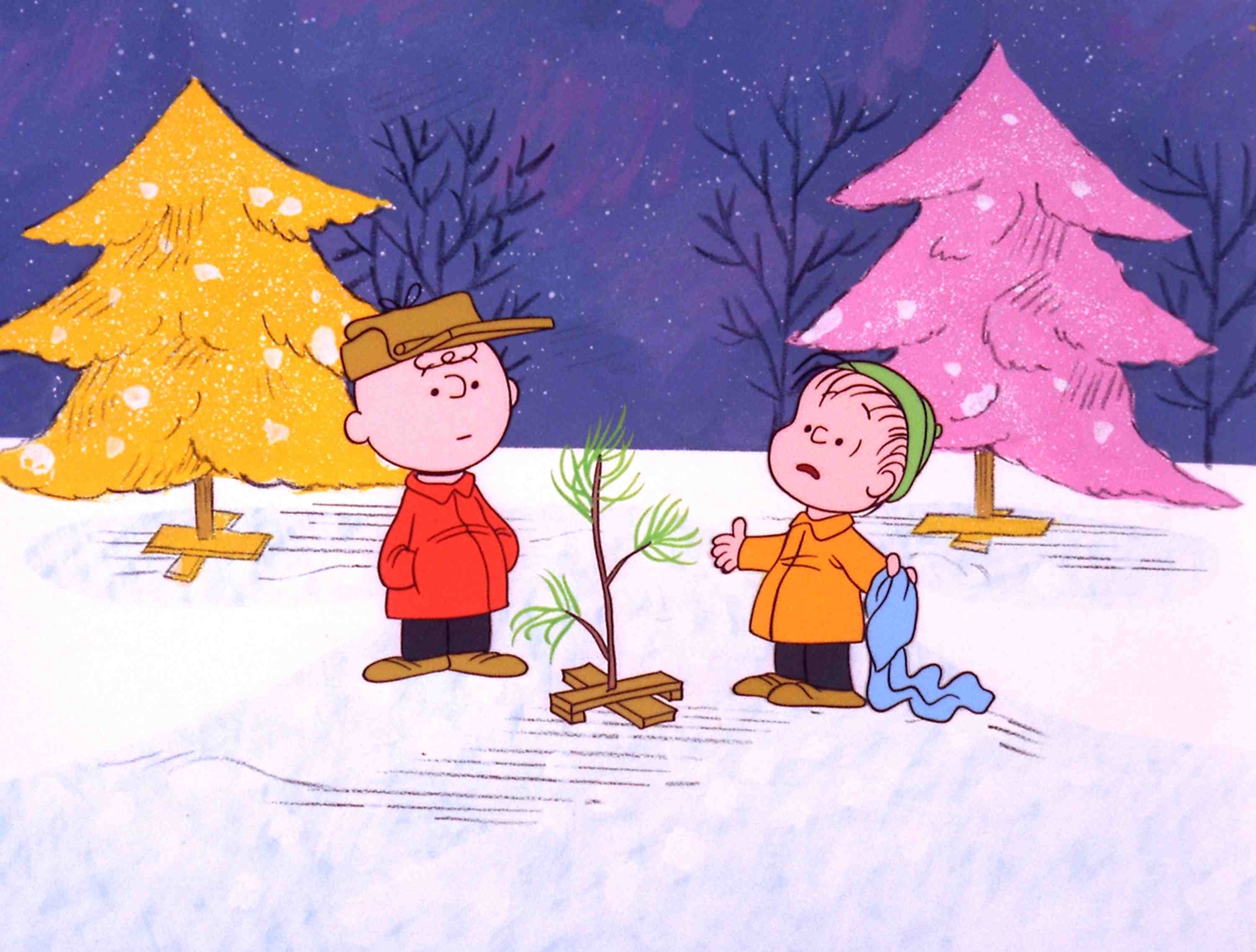 Charlie Brown Linus Van Pelt Peanuts Cartoon Christmas 3000x2274