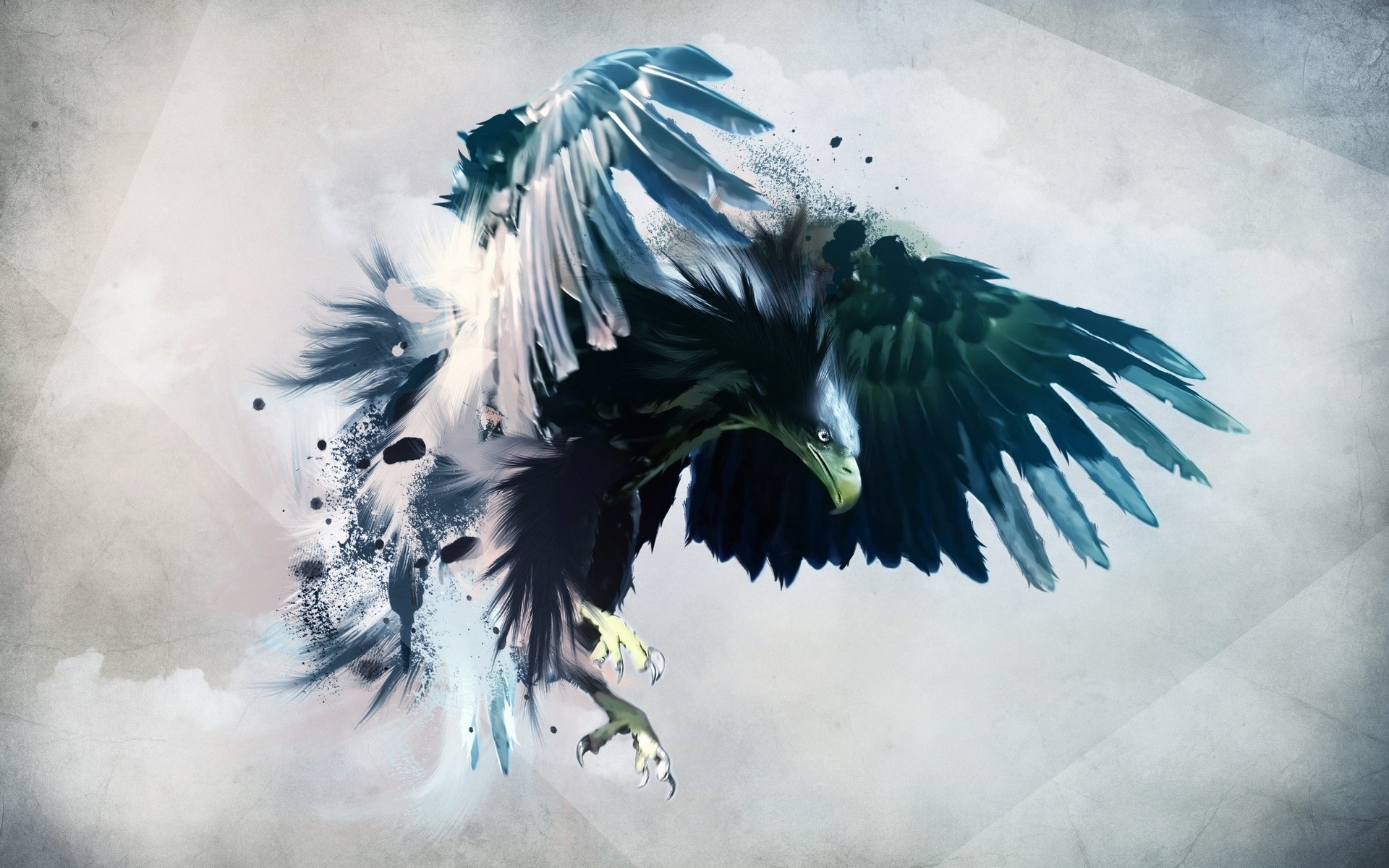 Digital Art Animals Birds Abstract Hawk Animal Turquoise 1920x1200