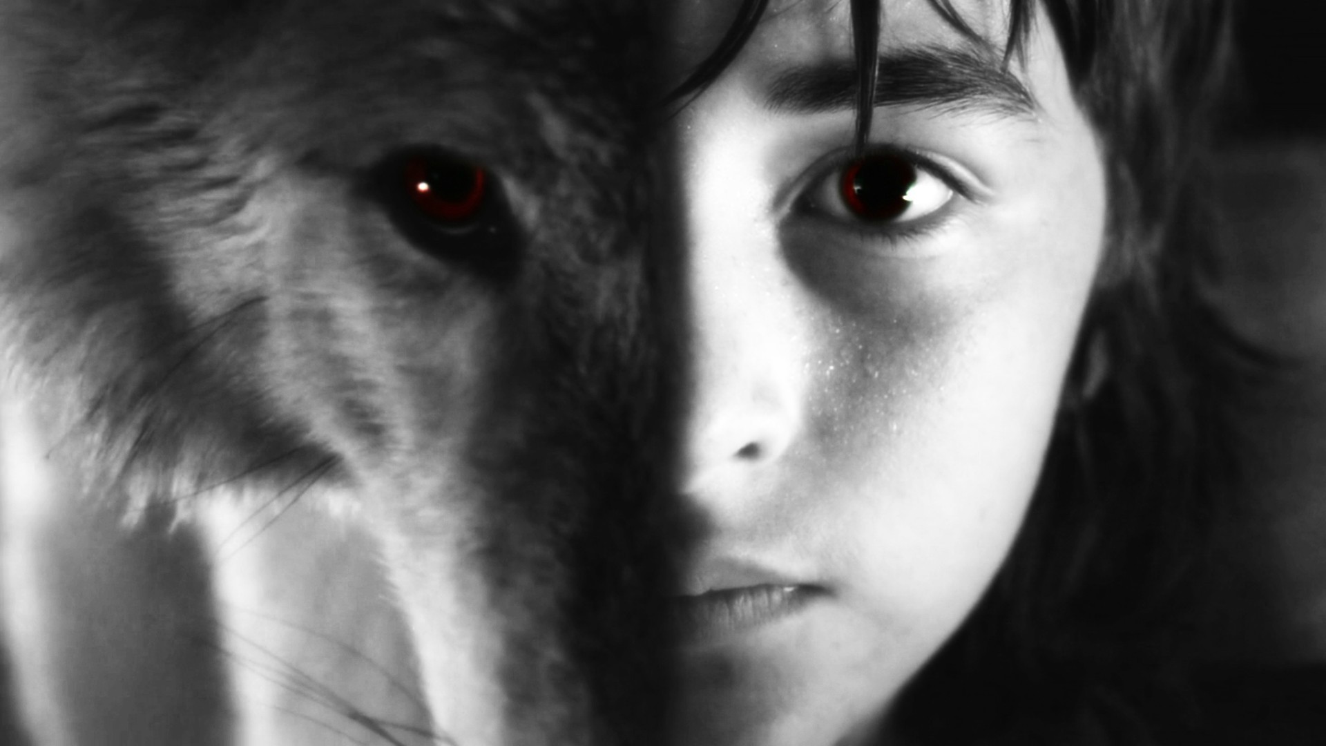 Game Of Thrones Direwolves Brandon Stark Selective Coloring Isaac Hempstead Wright 1920x1080