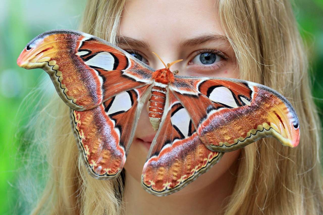 Blonde Moths Moth Women 1280x853