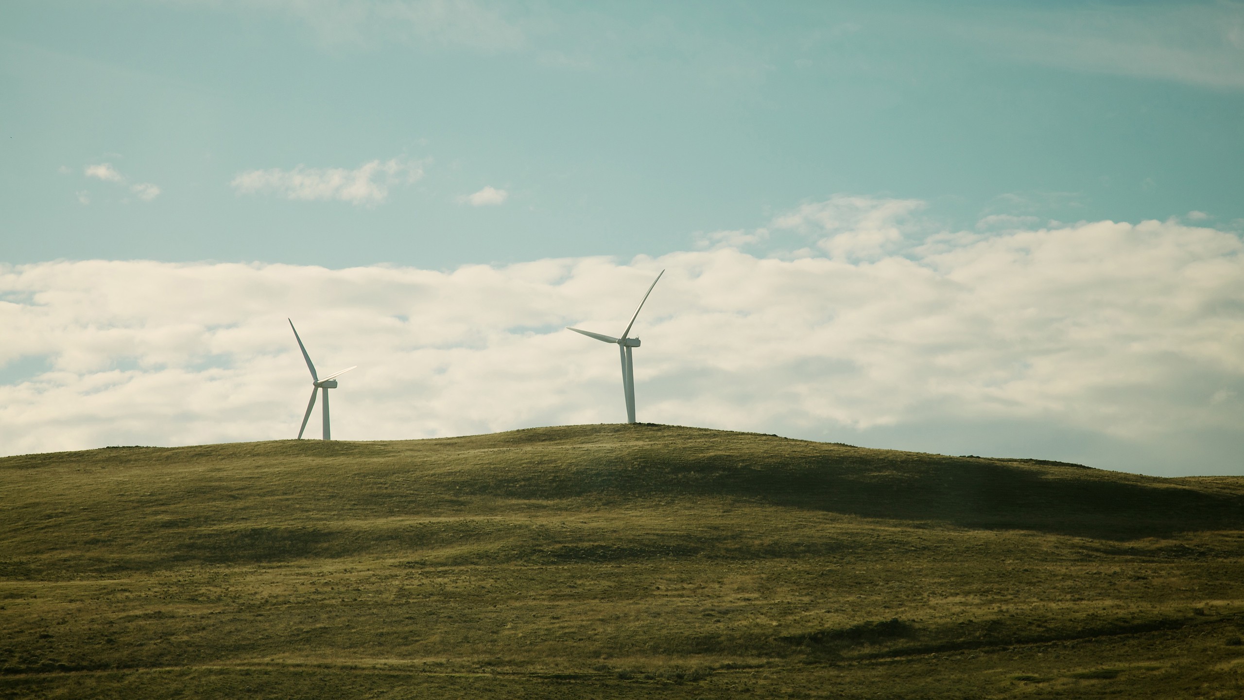 Windmill Wind Farm Landscape Field 2560x1440