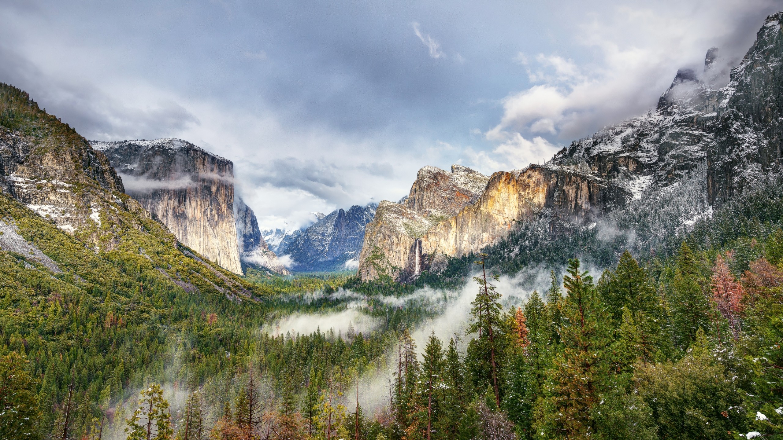 Nature Landscape Yosemite National Park Yosemite Valley Valley Cliff Mountains California 2560x1440