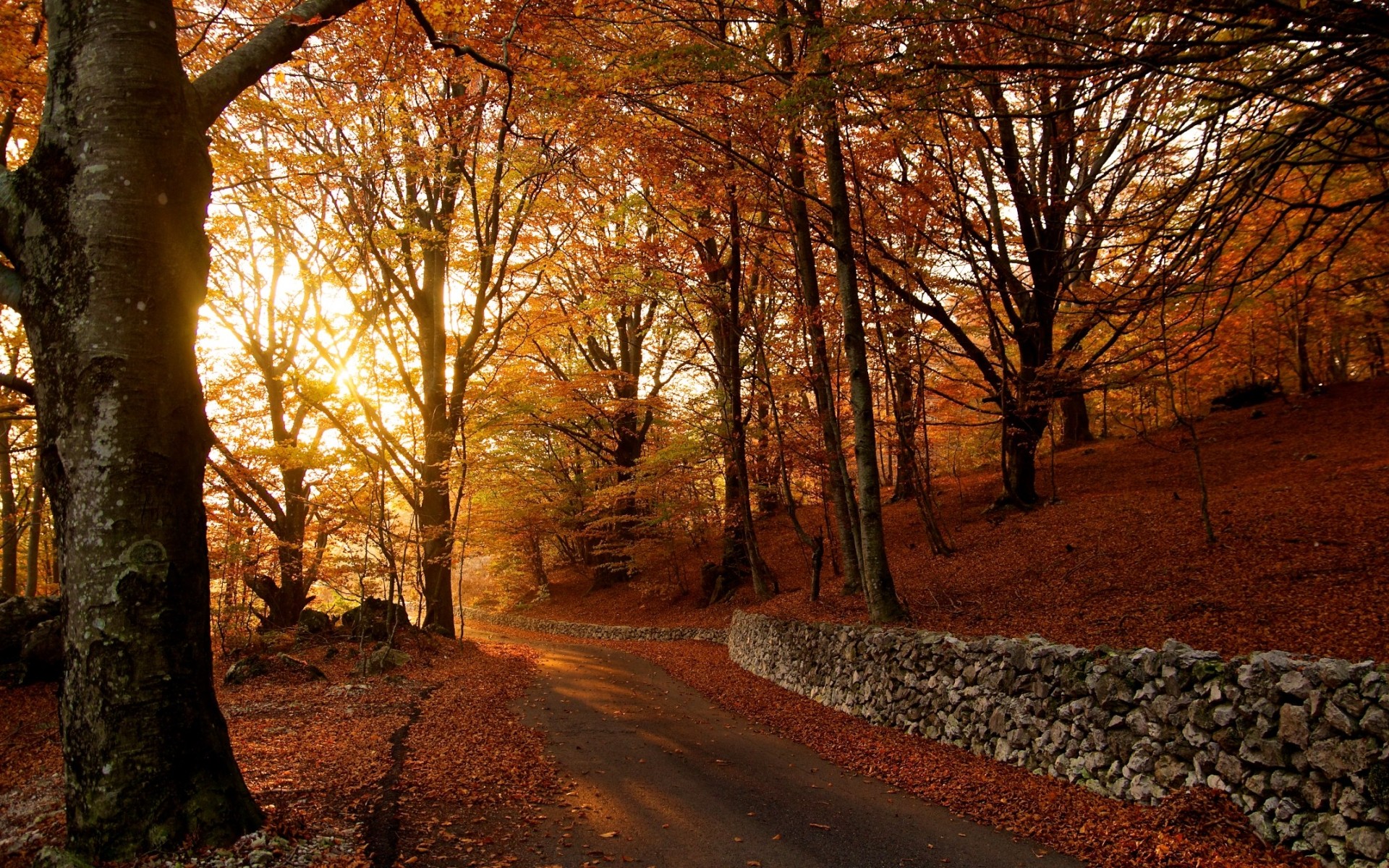 Fall Nature Stone Wall Road Forest Rocks 1920x1200