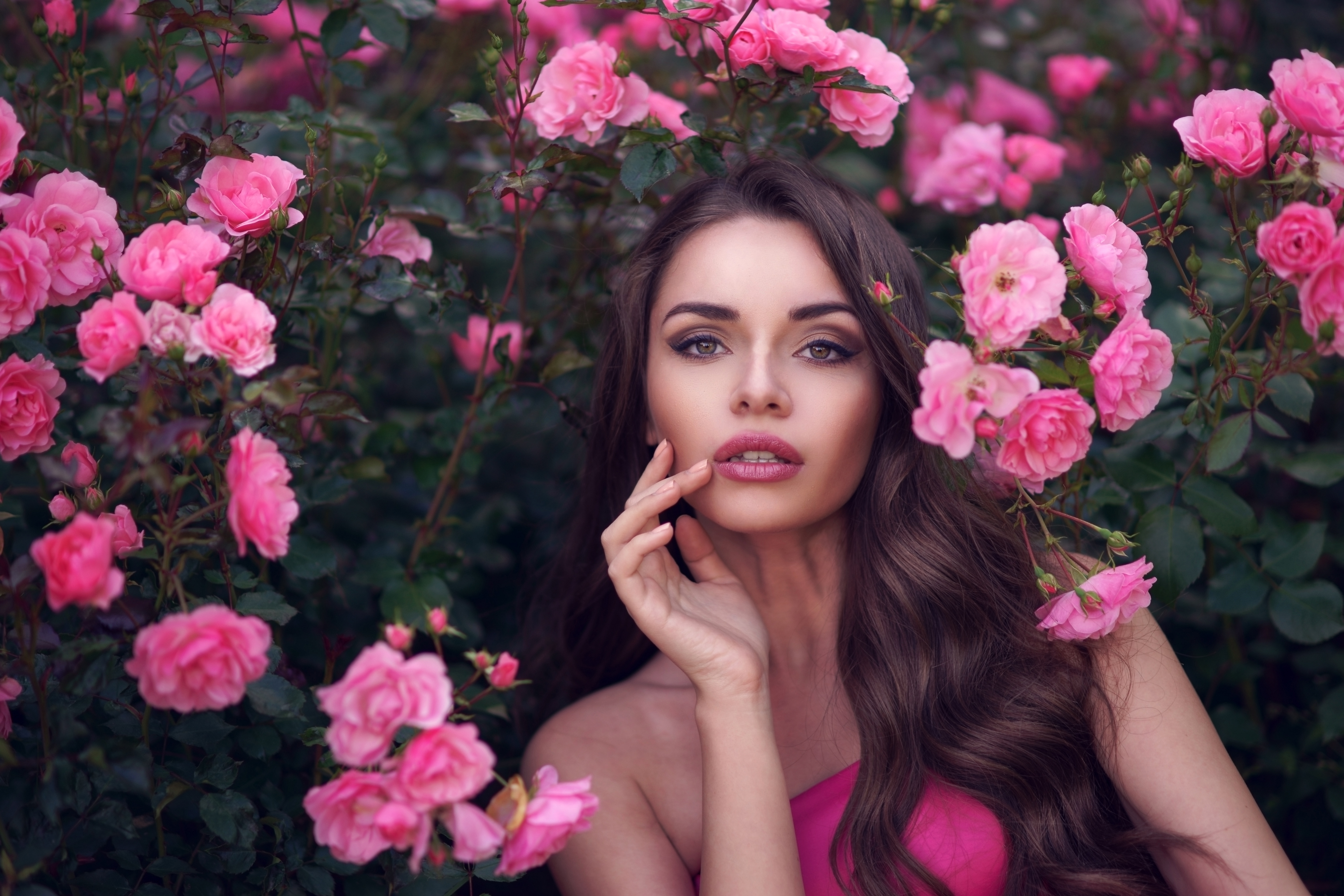 Woman Girl Rose Model Face Lipstick Flower Brunette Pink Flower Rose Bush 4800x3200