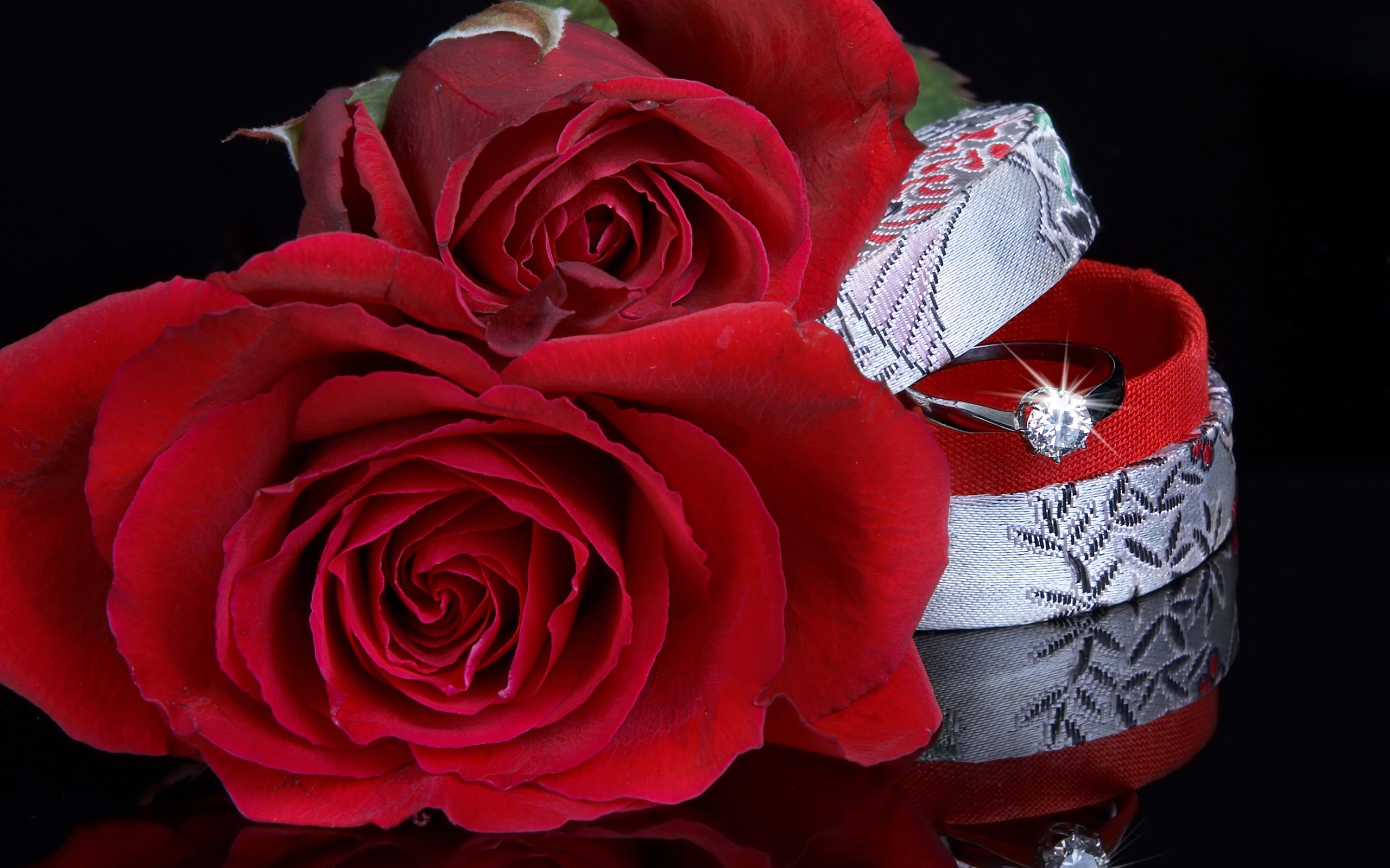 Rose Flower Ring 2560x1600