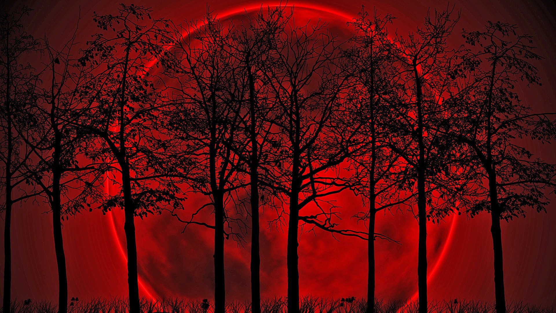 Blood Moon Trees Moon Dark 1920x1080