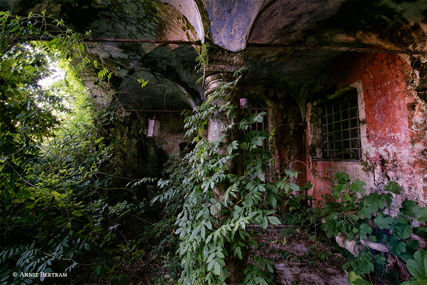 Plants House Ruin Abandoned 500px Annie Bertram 1500x1002