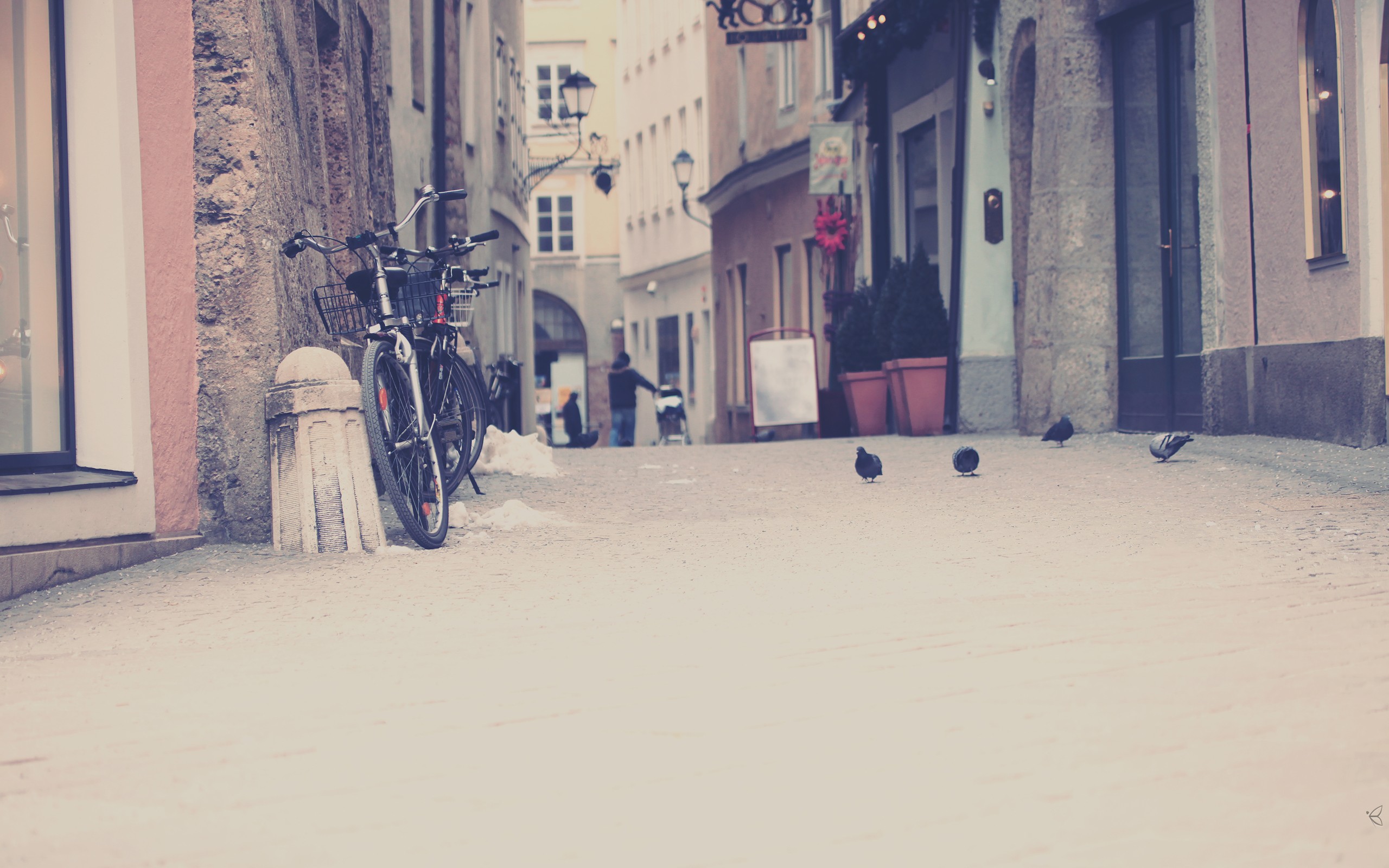 Street Urban Bicycle Bright Birds Pigeons Building Beige Calm Alleyway 2560x1600