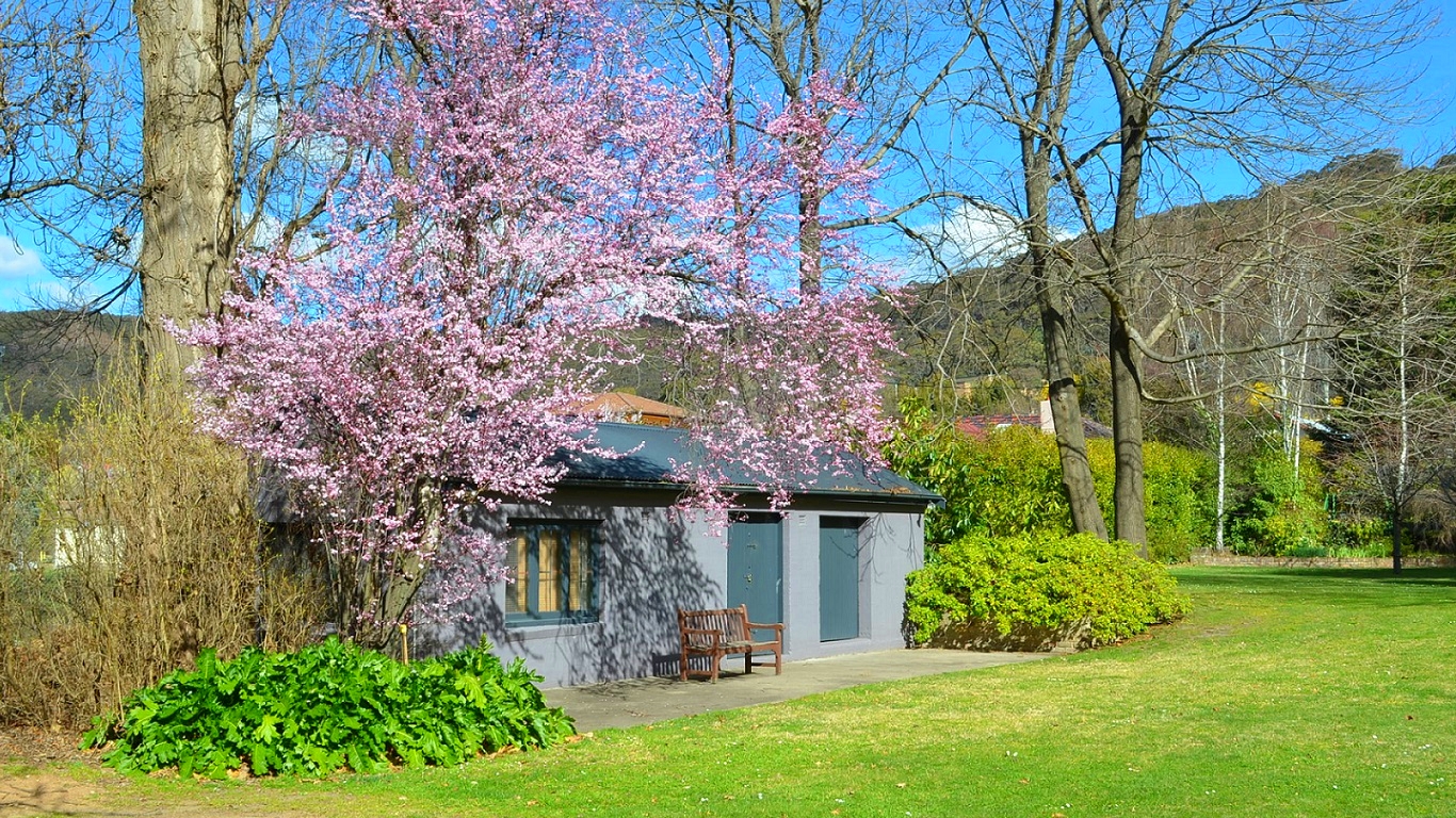 House Building Tree Blossom Australia Bench Lithgow 1366x768