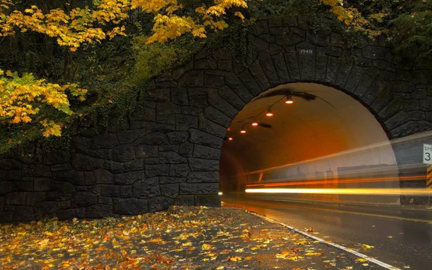 Landscape Tunnel Pagemaster Fall Fallen Leaves Yellow Stone Arch Light Trails Wet Street Road 1440x900