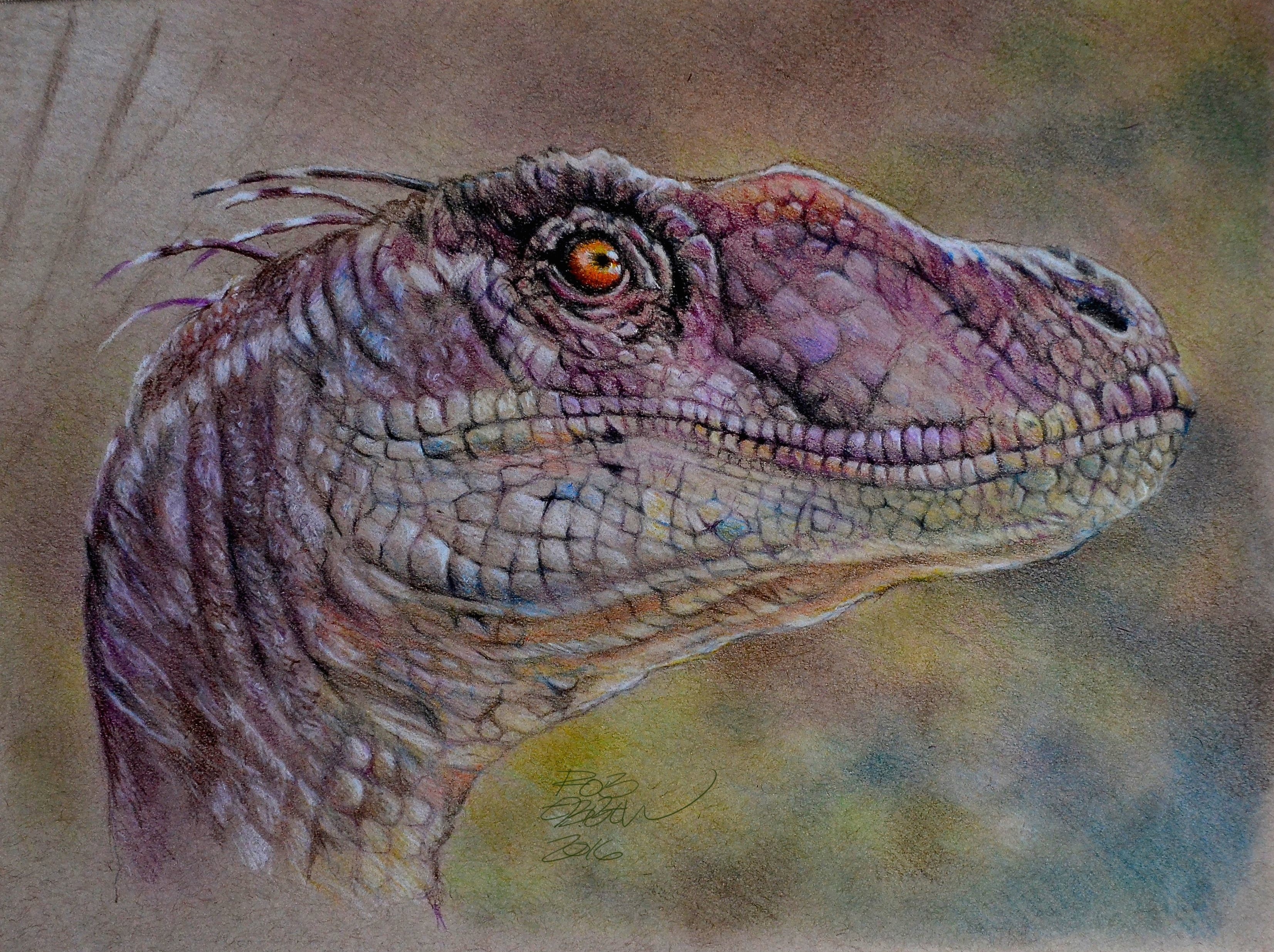 Dinosaur Velociraptor 3306x2471