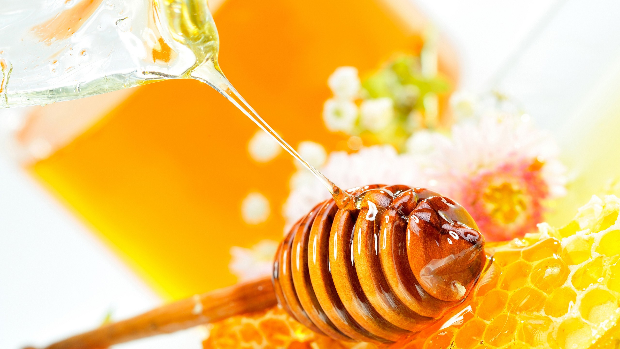 Food Honey Honey Spoon Honeycombs 2560x1440