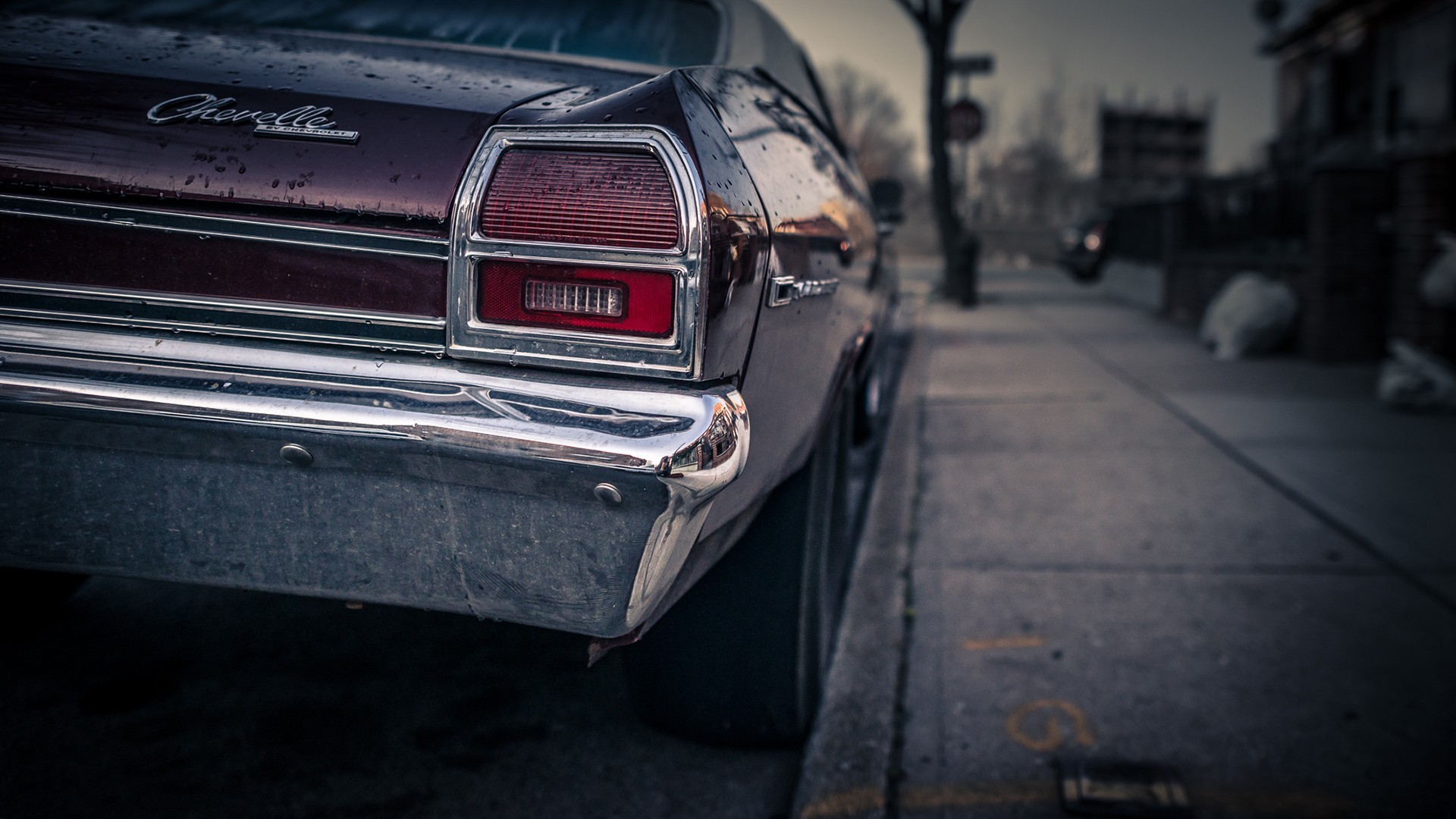 Car Vintage Chevelle SS Chevrolet Chevelle Chevrolet Vehicle Closeup 1920x1080