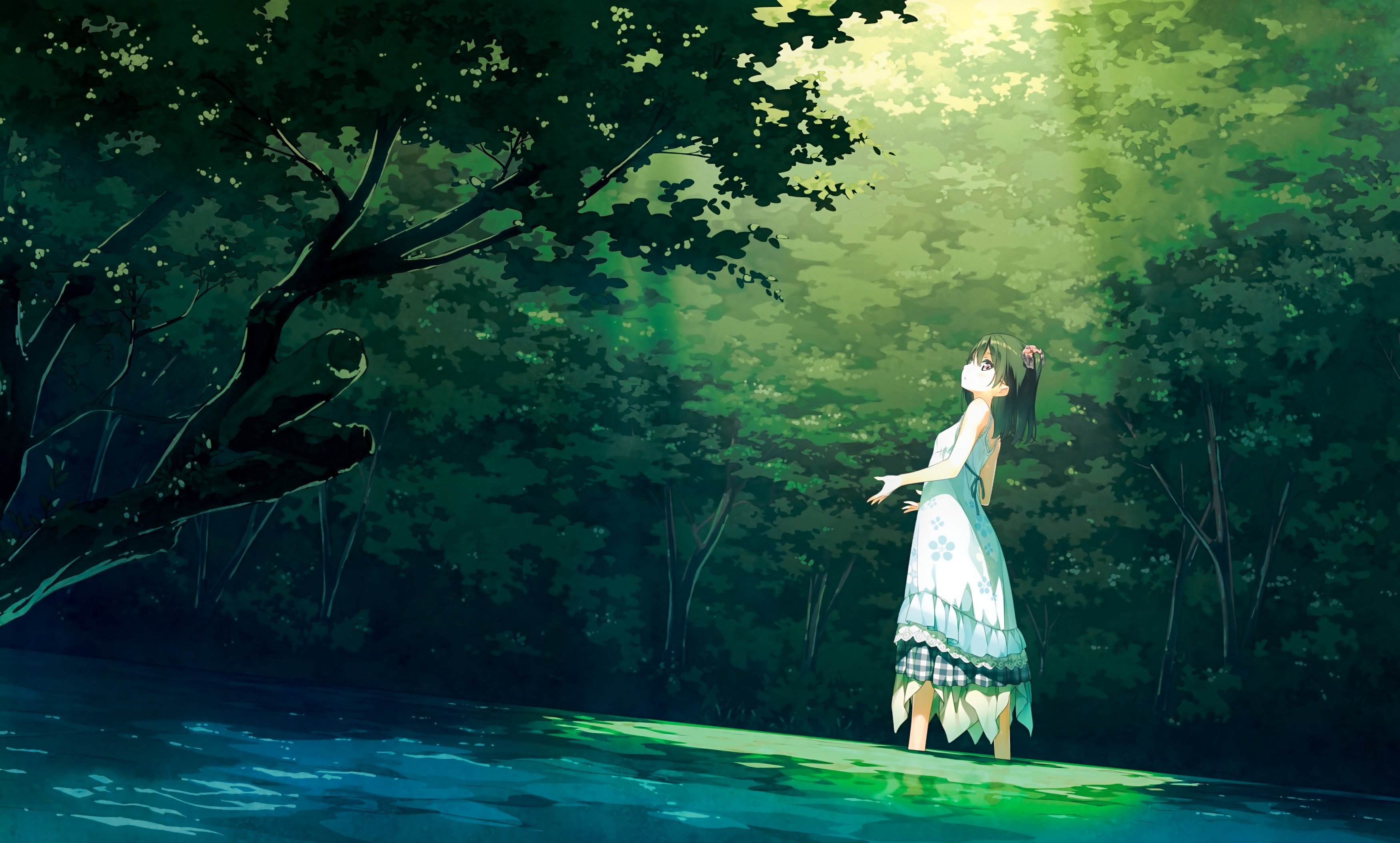 Original Characters Landscape Trees Afterschool Of The 5th Year Shizuku ...