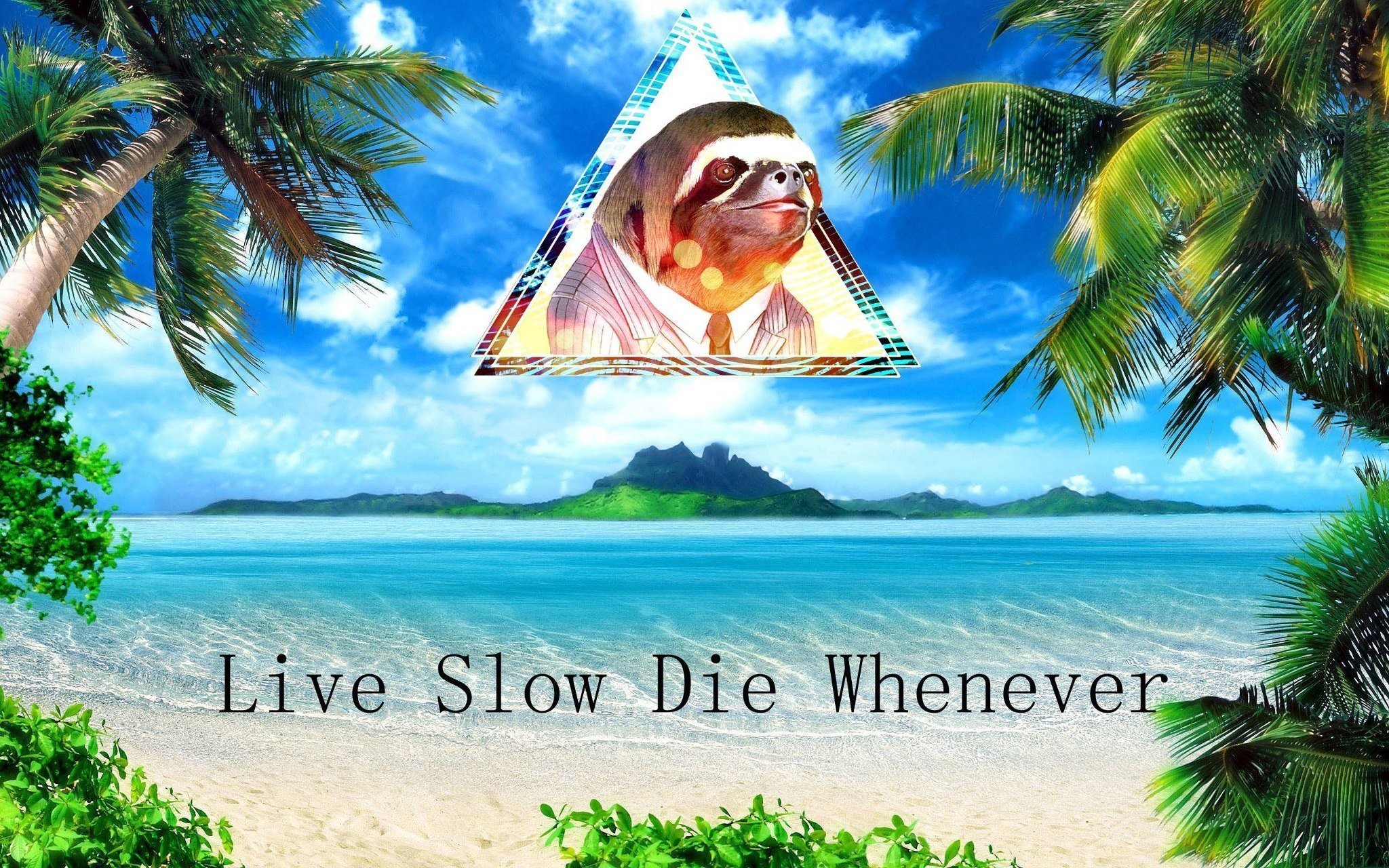 Sloths Digital Art Typography Palm Trees 2048x1280