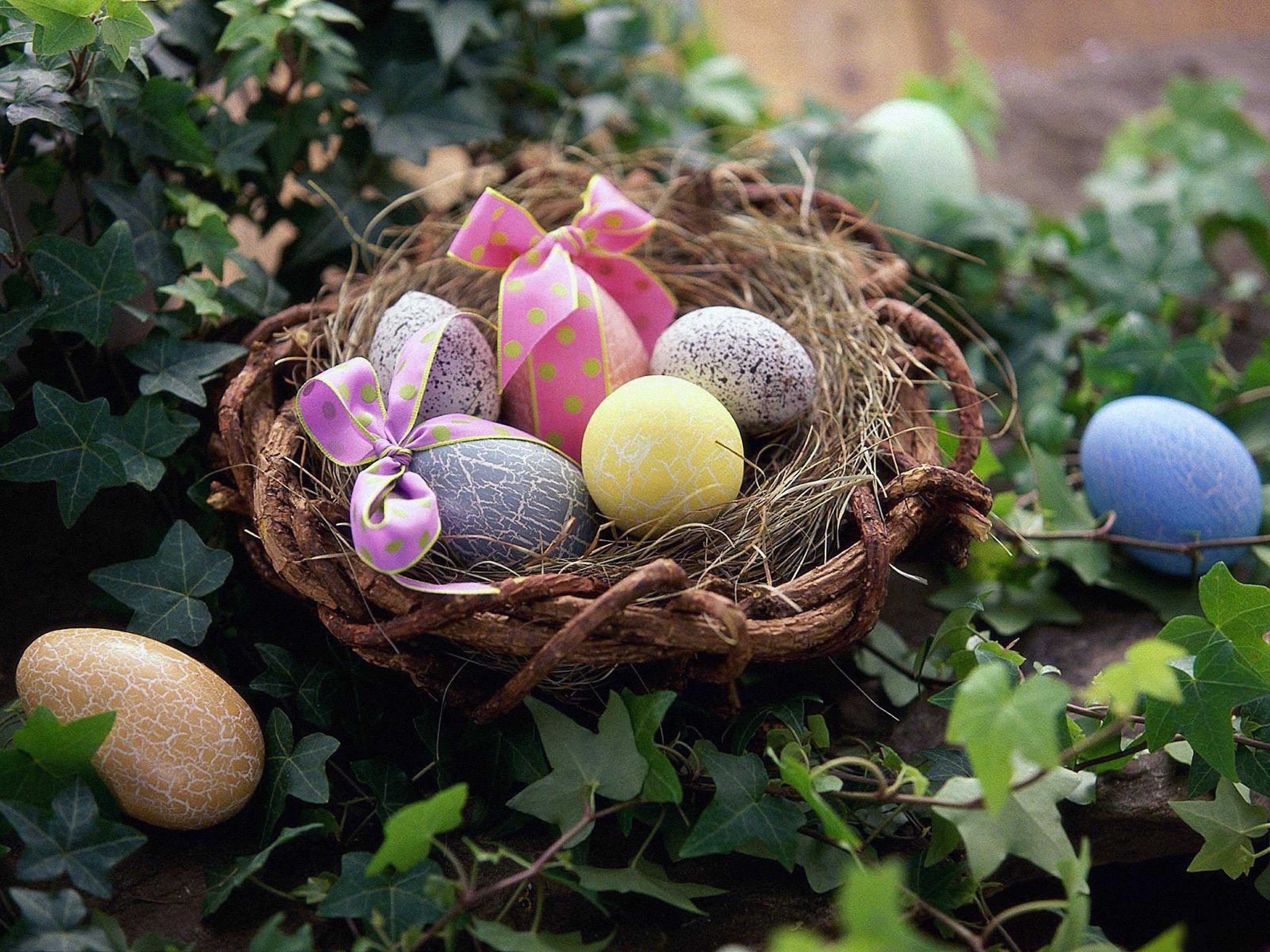 Easter Egg Basket Vine Nest Bow Clothing 2560x1920