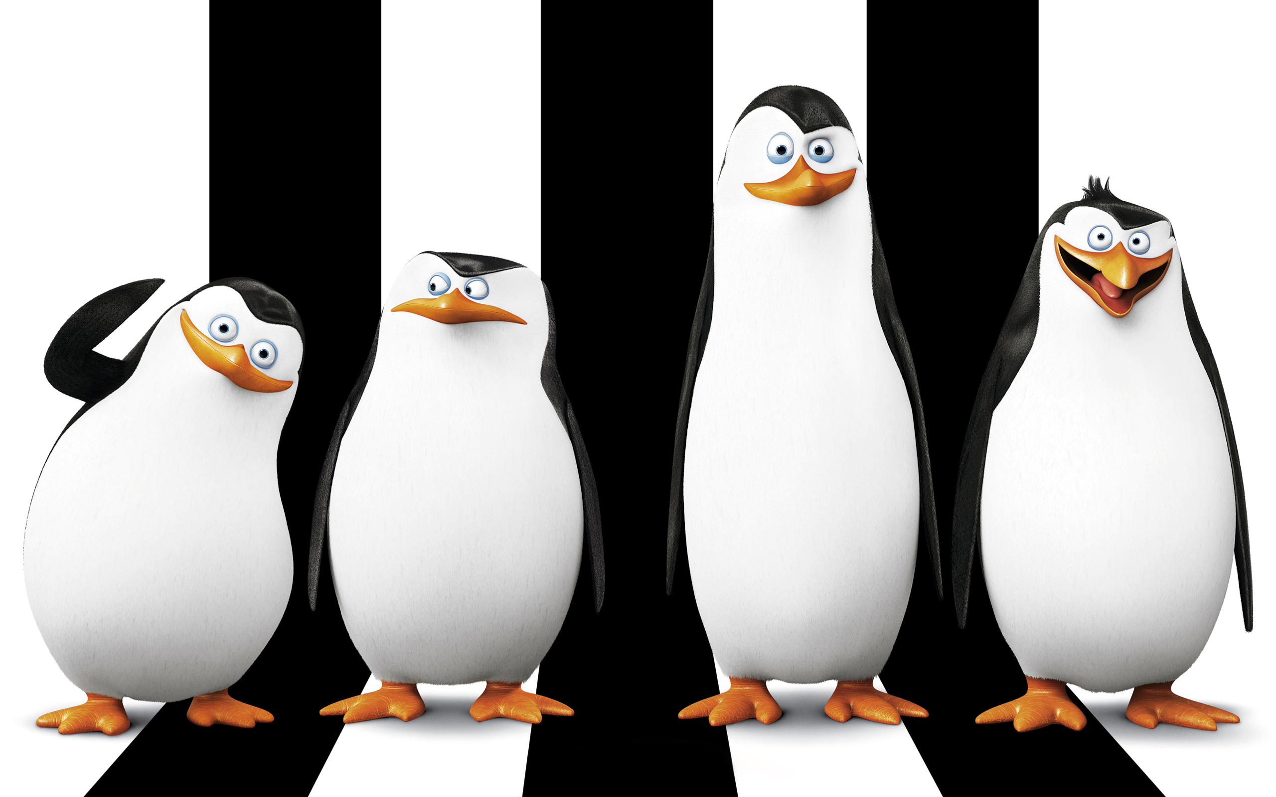 Penguin Madagascar Movie 2560x1600