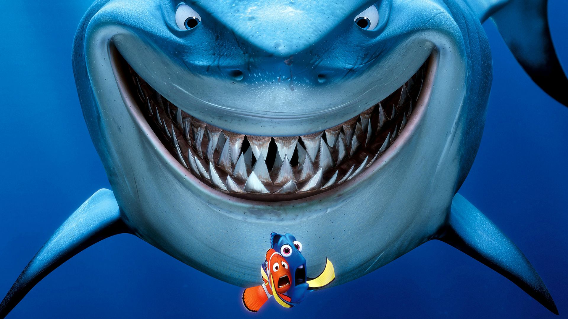 Finding Nemo Bruce Finding Nemo Dory Finding Nemo Marlin Finding Nemo 1920x1080
