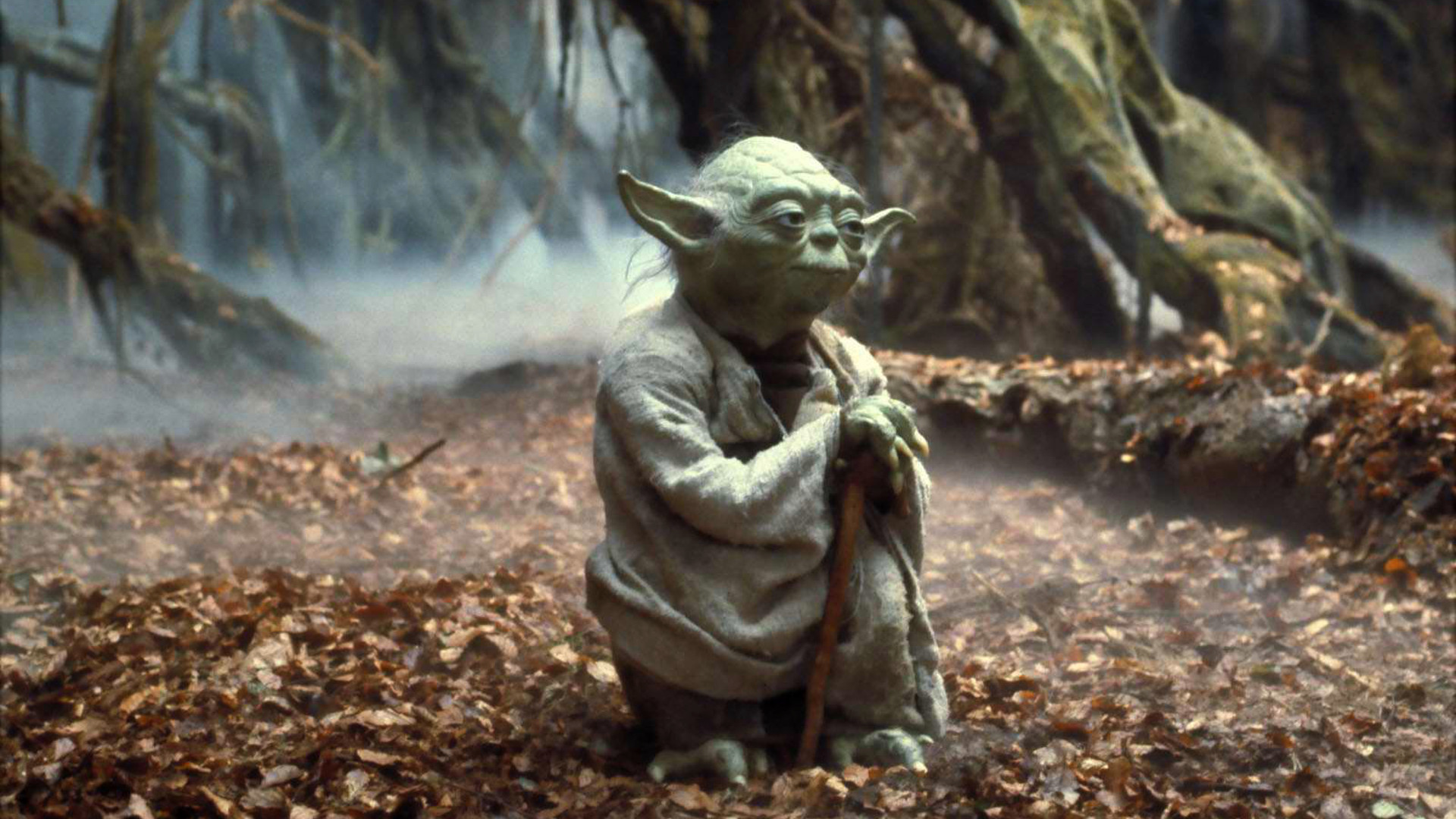 Yoda Star Wars Episode V The Empire Strikes Back Star Wars Movies Jedi Dagobah Star Wars Heroes 1920x1080