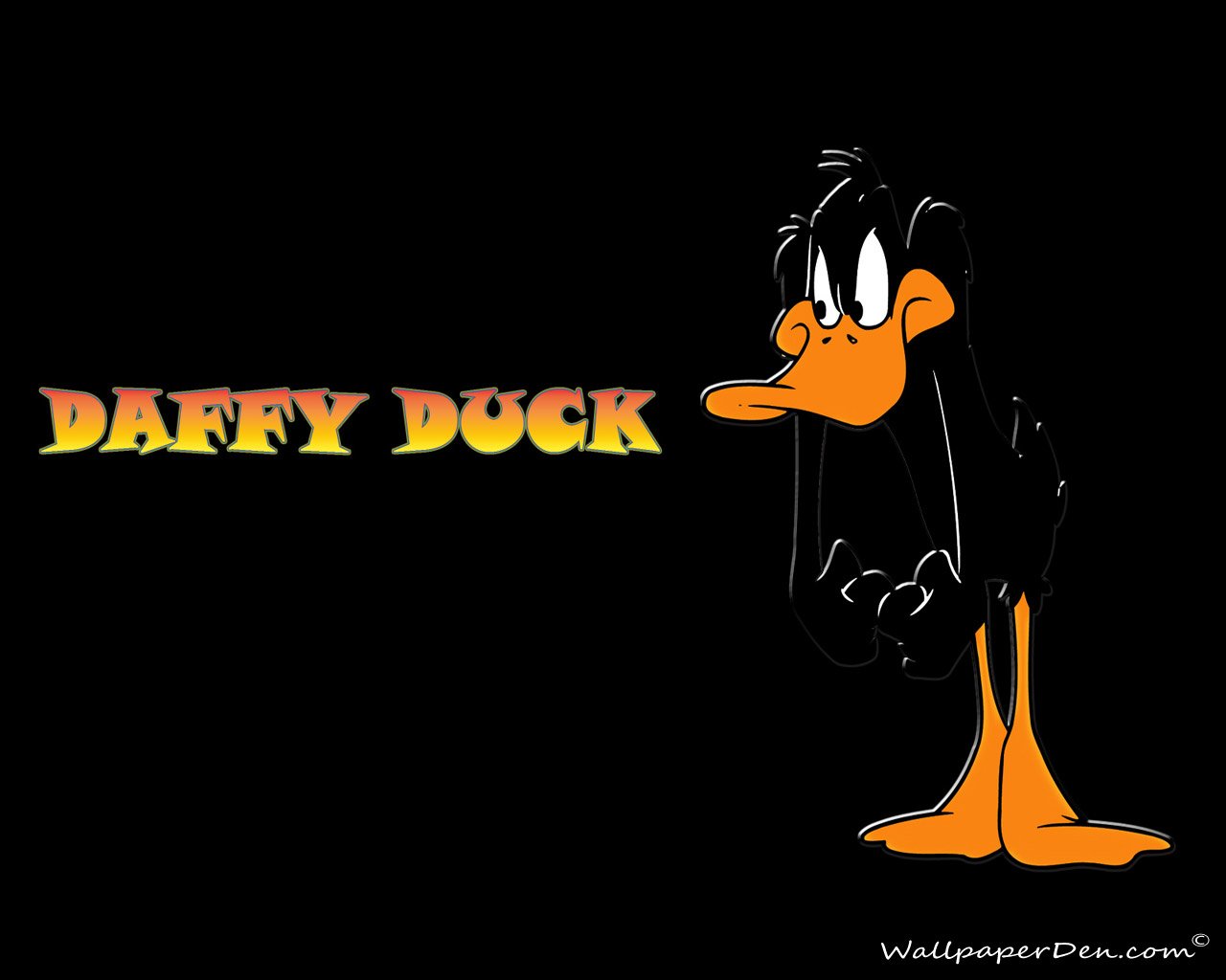 Daffy Duck 1280x1024