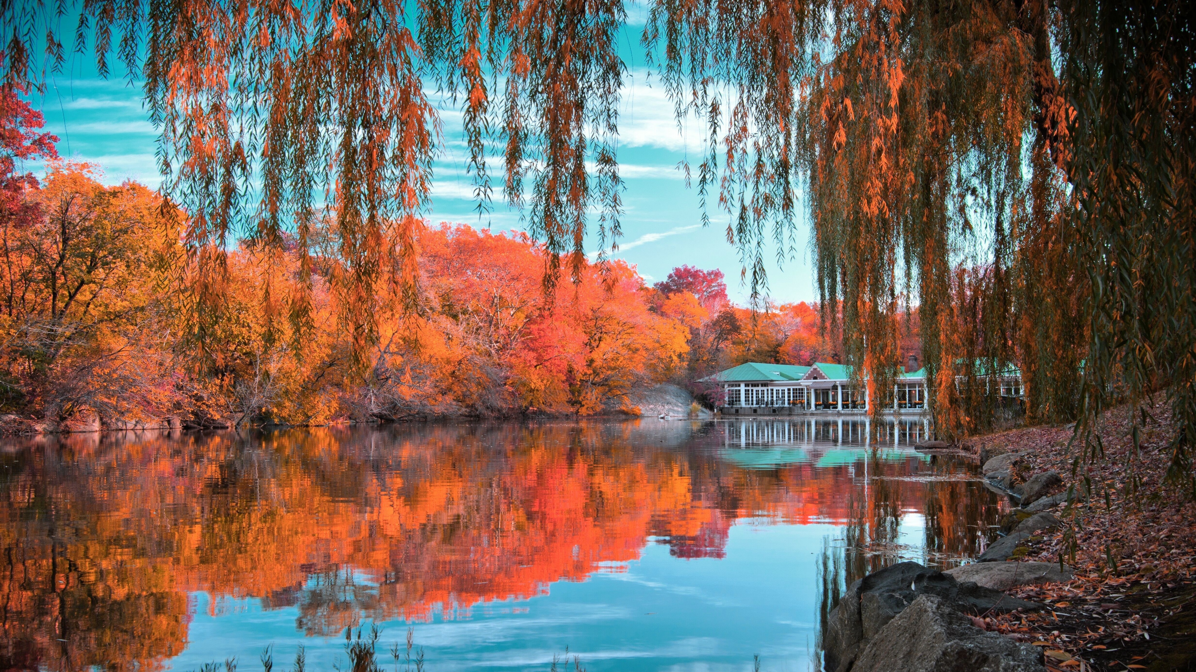 Central Park Fall Foliage Tree Pond Reflection 3840x2160