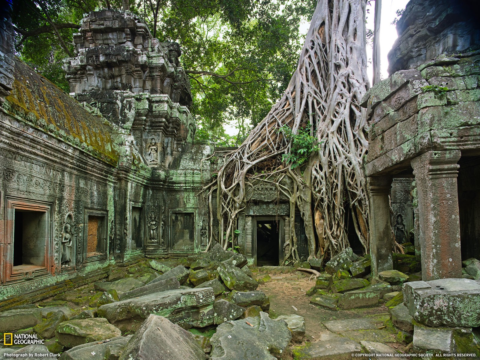 Ruin Nature Trees Temple Overgrown National Geographic Cambodia 1600x1200