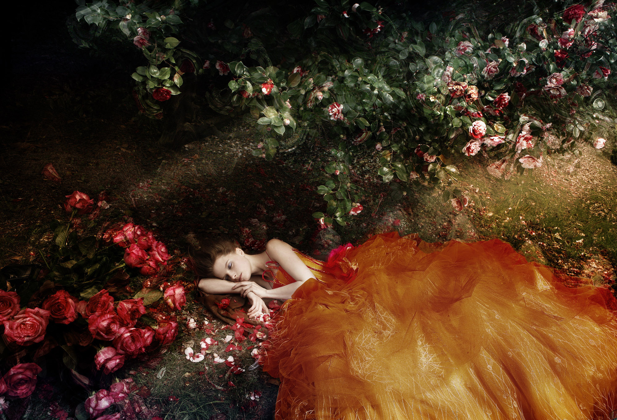 Woman Mood Girl Lying Down Flower Rose Rose Bush Orange Dress 2000x1361