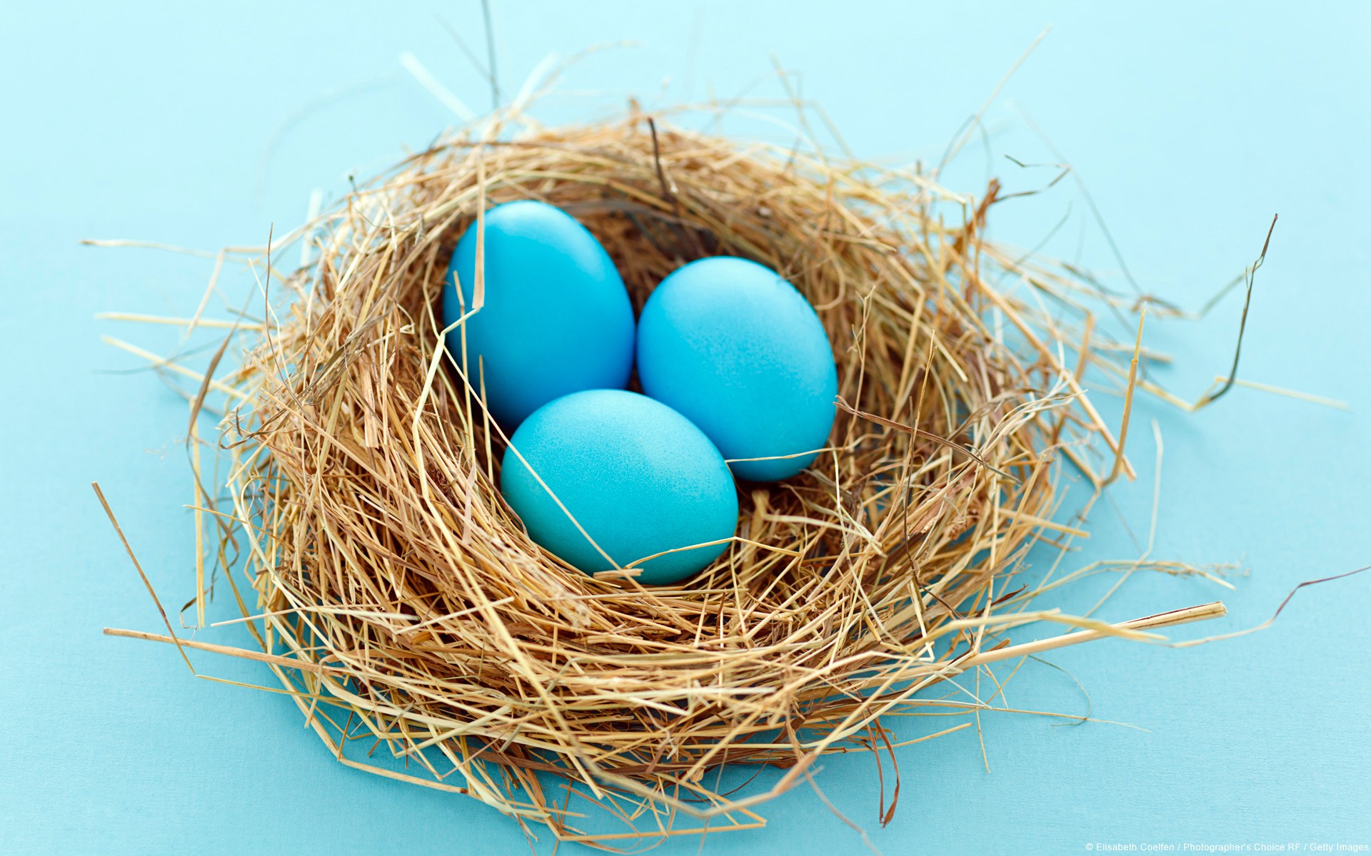 Nests Eggs Blue Background Blue Cyan Background Cyan Light Blue 1920x1200