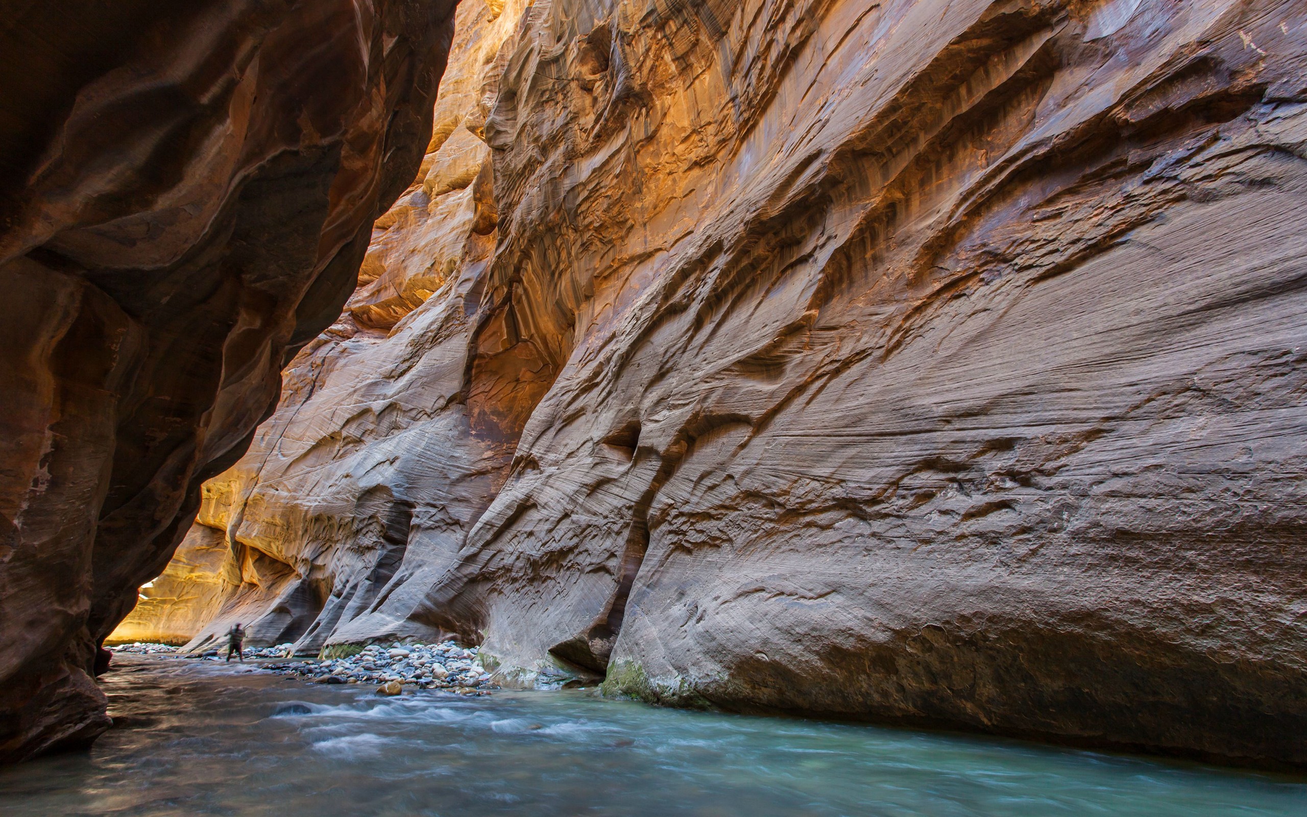 Canyon Zion National Park River Landscape 2560x1600