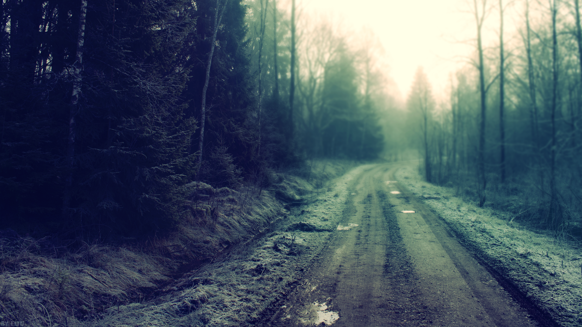 Road Trees Forest Mist Dirty Forest Clearing Nature Mud Dirtroad Dirt 1920x1080