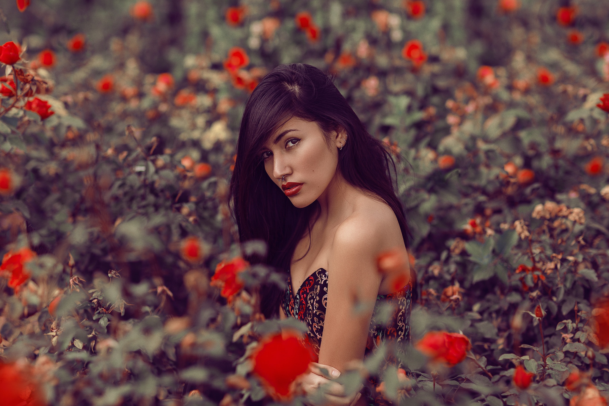 Woman Model Girl Brunette Brown Eyes Lipstick Flower Red Flower Rose Bush 2048x1365