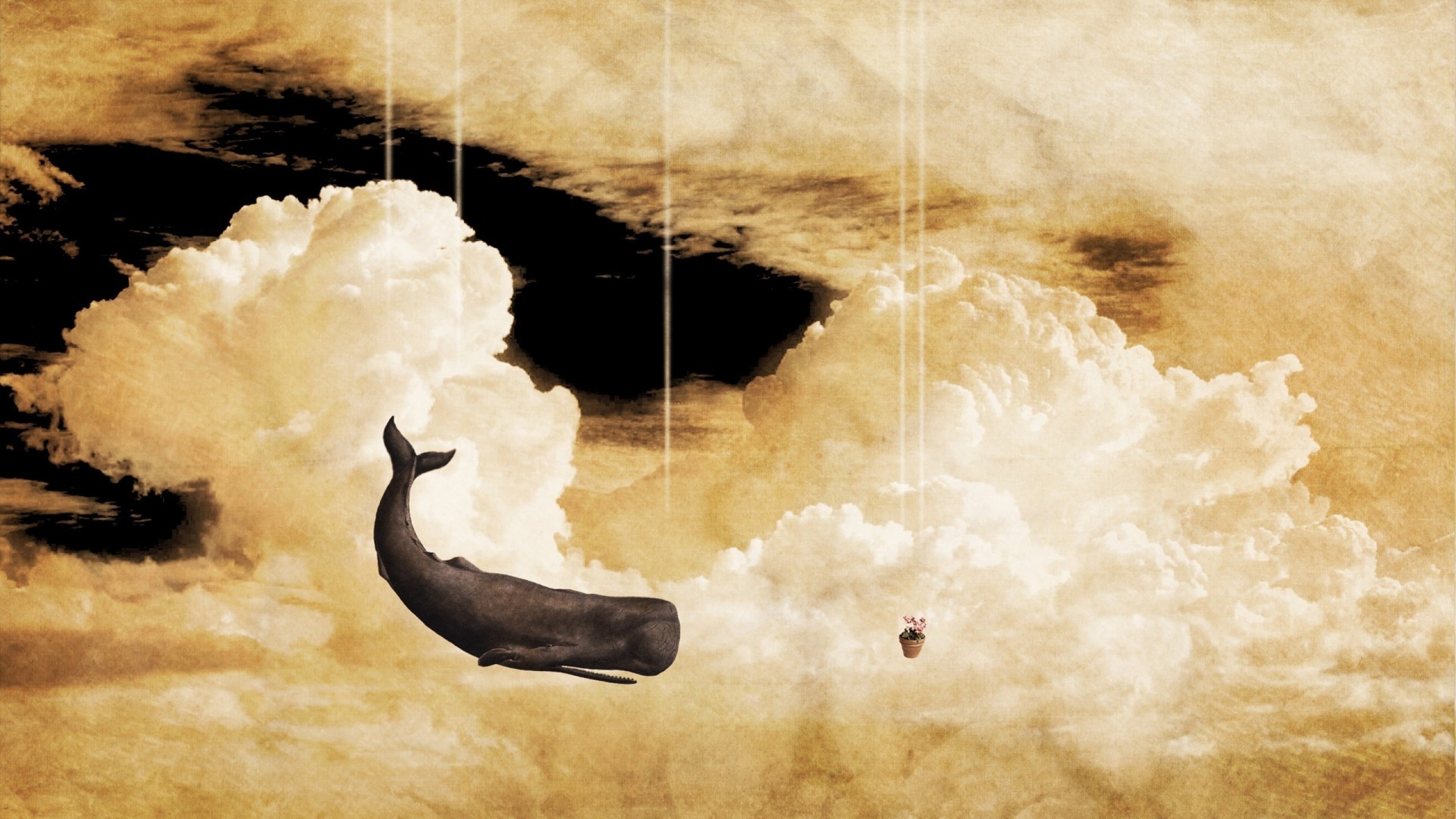 Sky Whale Clouds Imagination The Hitchhikers Guide To The Galaxy Beige Brown 2560x1440