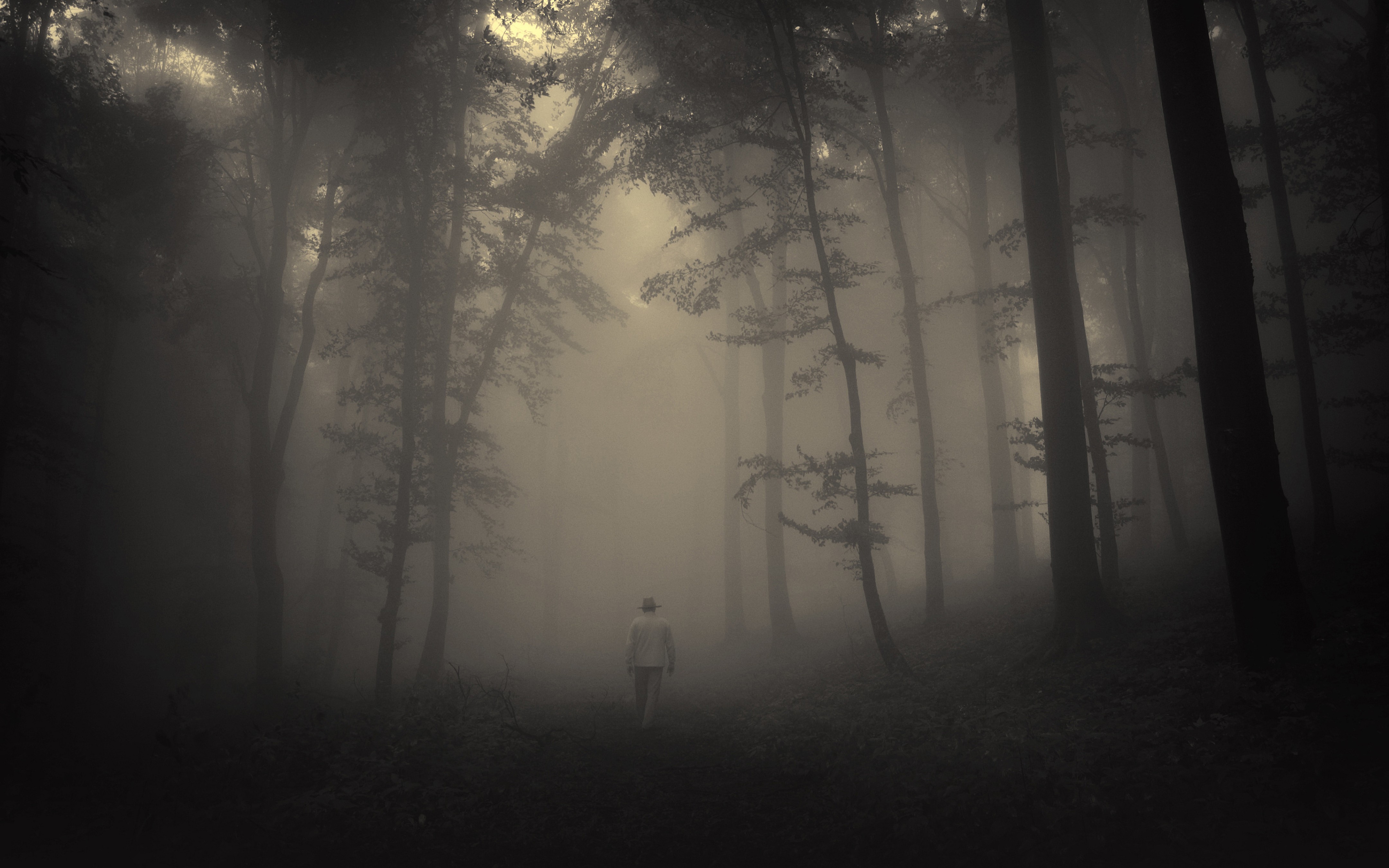 Forest Spooky Mist Walking Deep Forest Men Nature Solice 4320x2700