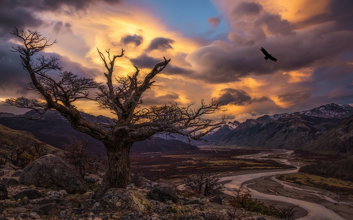 Nature Landscape Trees Condors Birds Sunset River Valley Mountains Sunlight Clouds Patagonia Argenti 1230x768