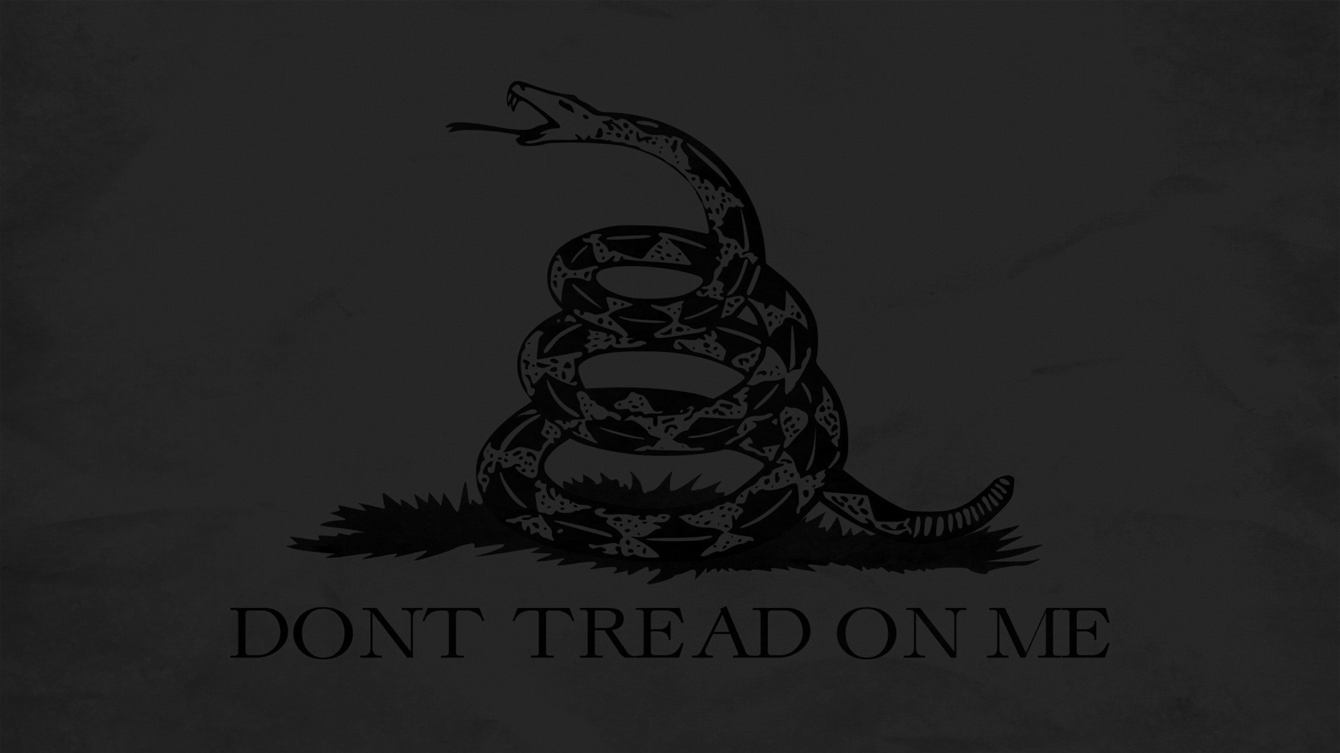 Quote Libertarianism Snake Gadsden Flag Gray Typography Serpent 1920x1080