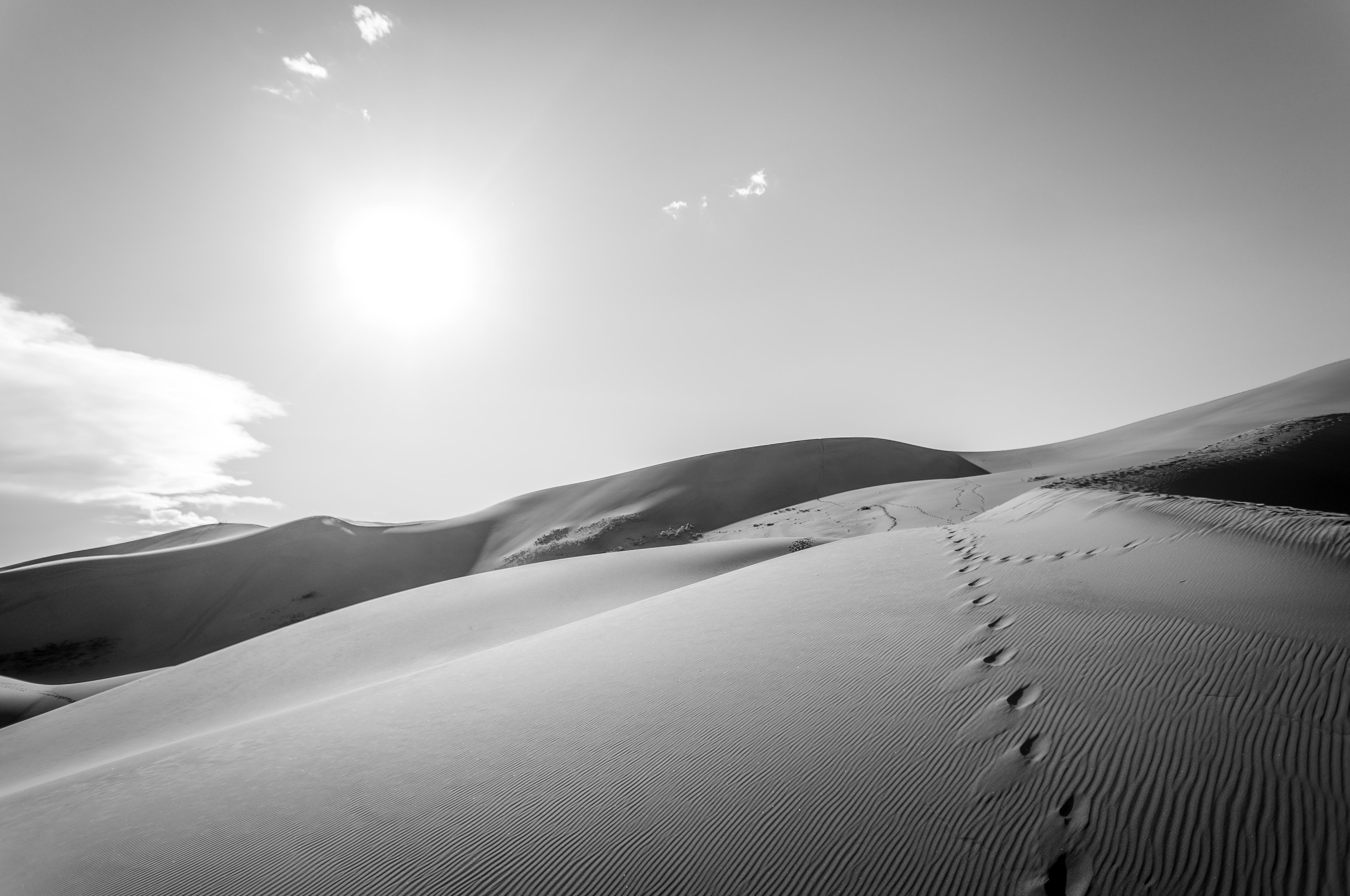 Desert Sand Dune Black Amp White Footprint 4912x3264
