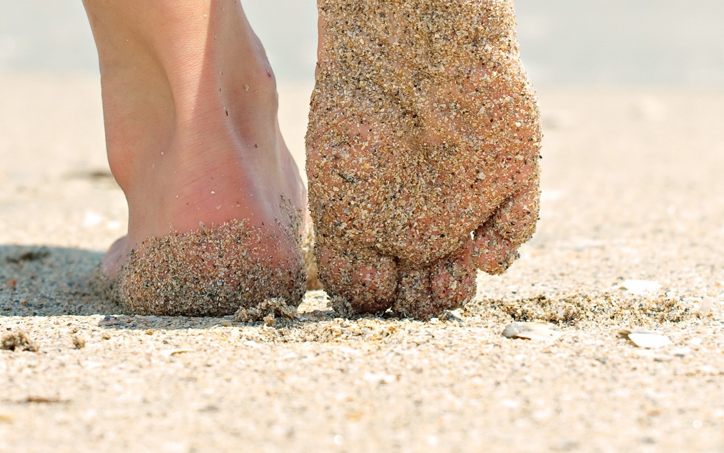 Sand Feet Barefoot Worms Eye View Closeup Sand Covered 1440x900