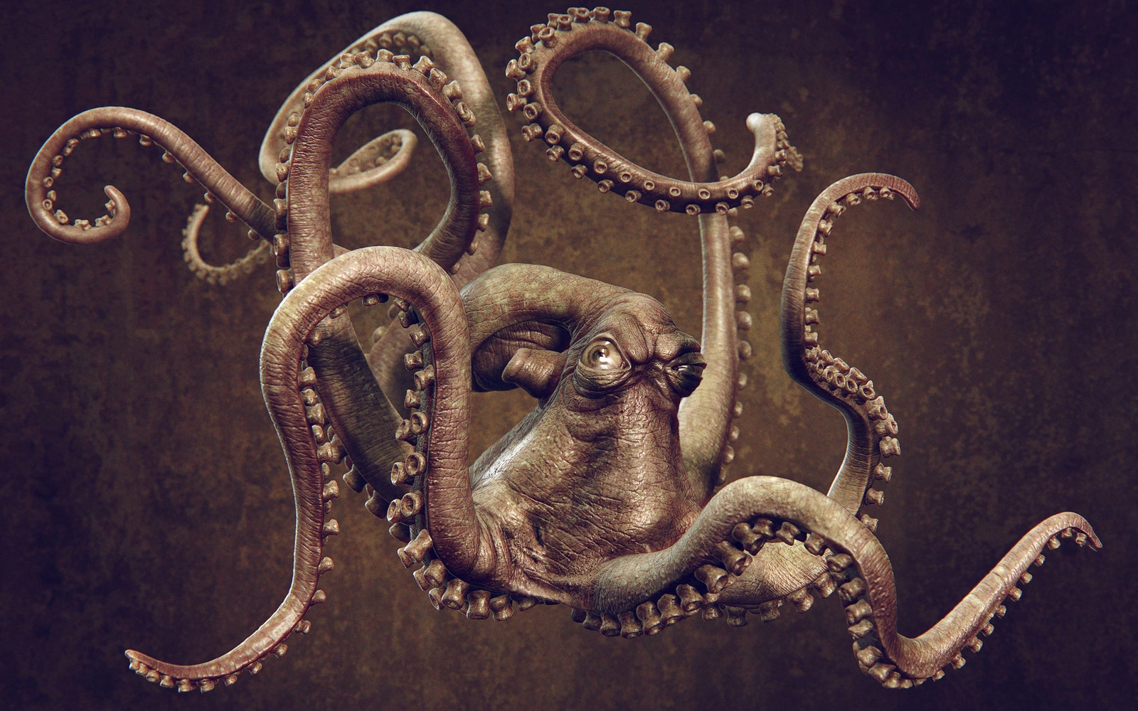 Animal Octopus 1600x1000