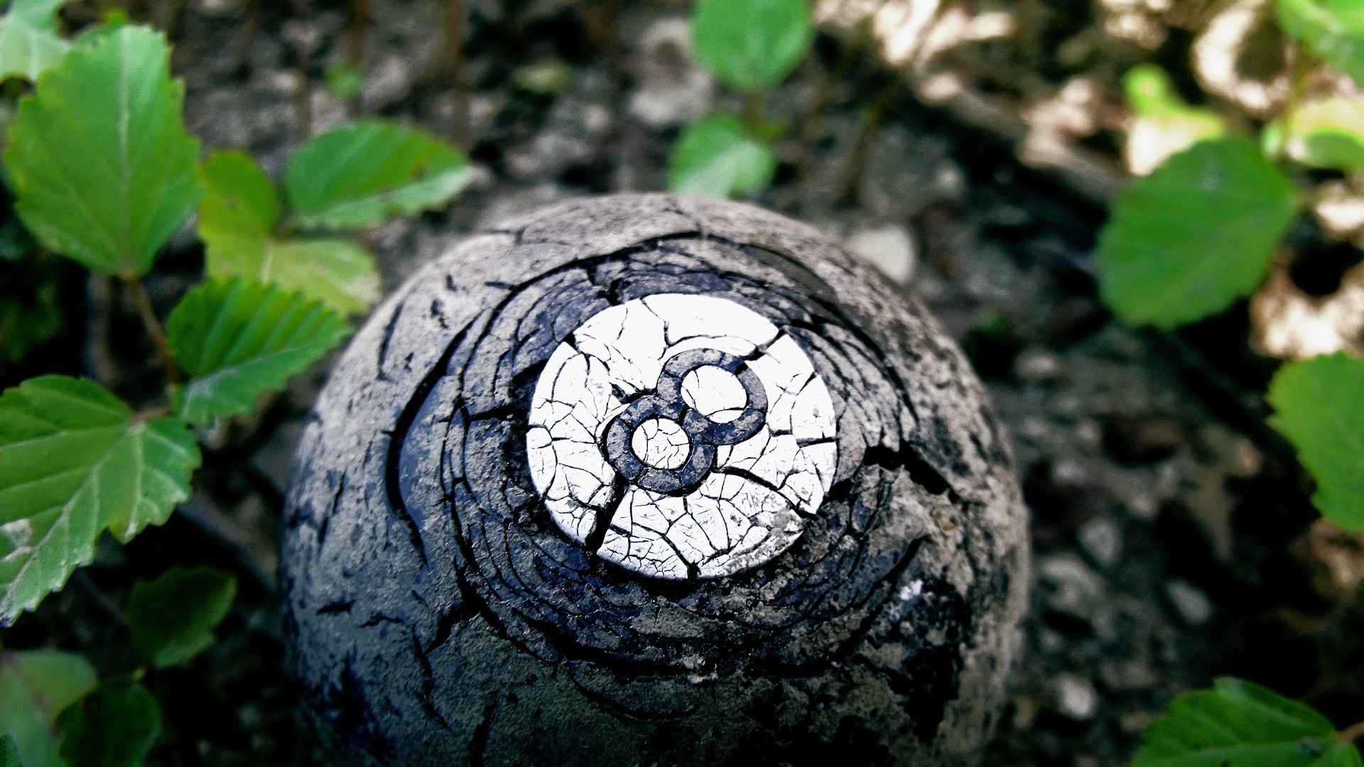 Nature 8 Ball Decay 1920x1080