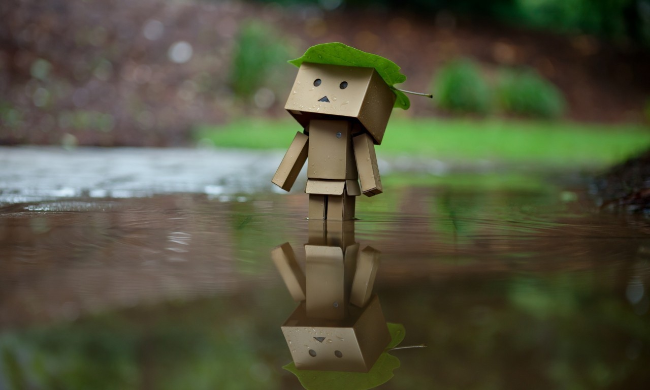 Amazon Danbo Carton Box 1280x768